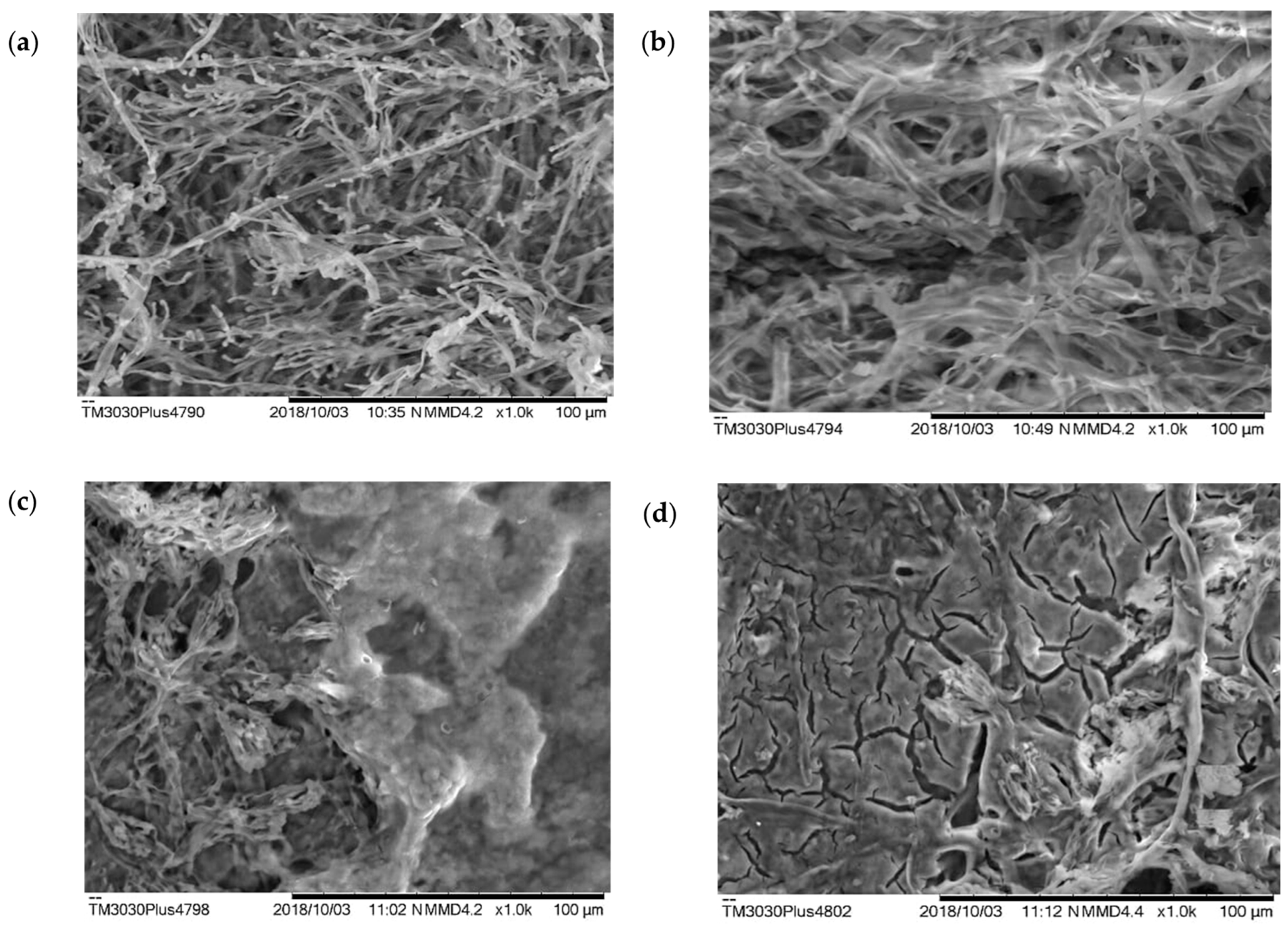 Microorganisms 11 01439 g001 Microorganisms 11 01439 g001