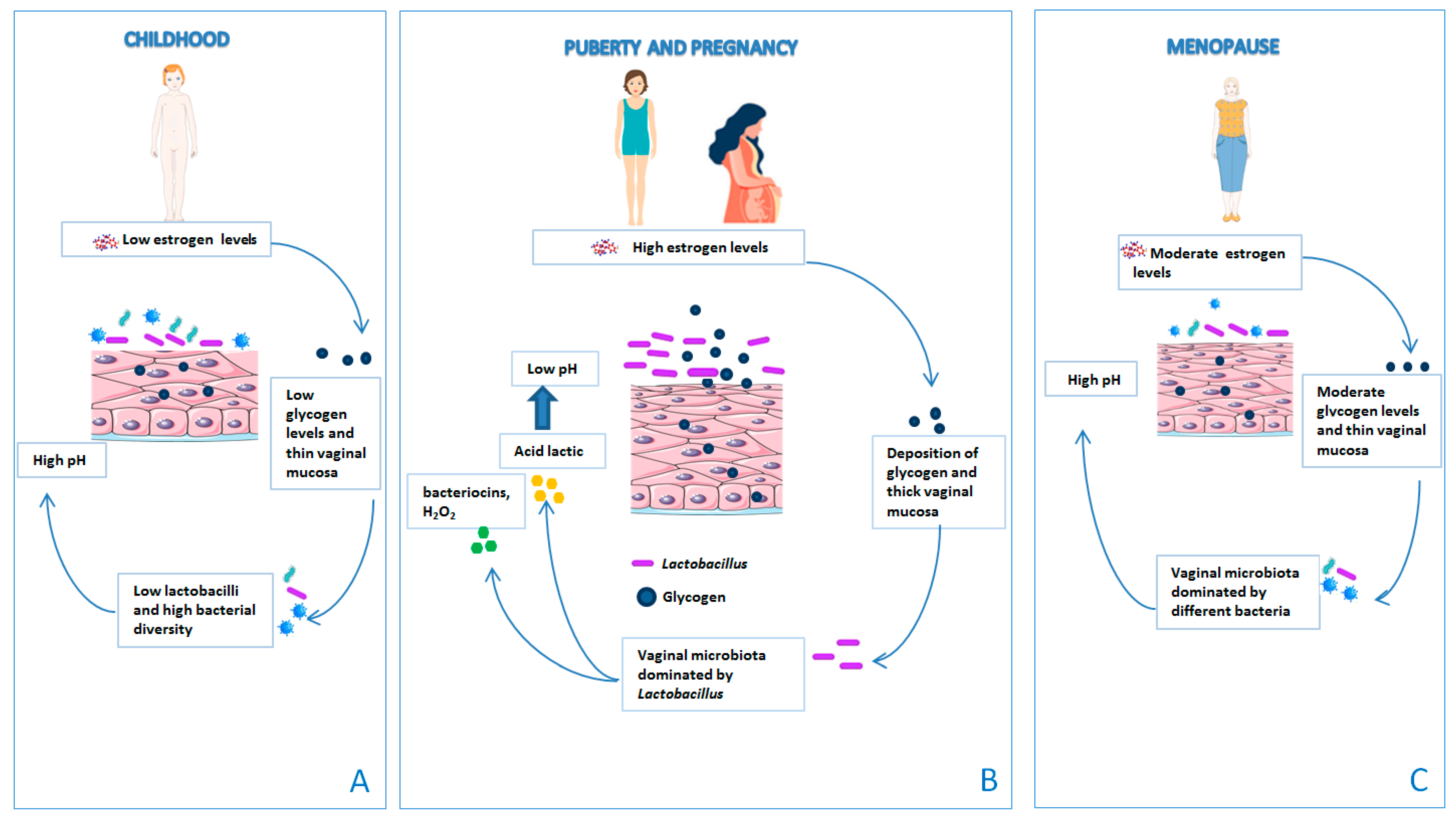 Microorganisms 11 01443 g003 Microorganisms 11 01443 g003
