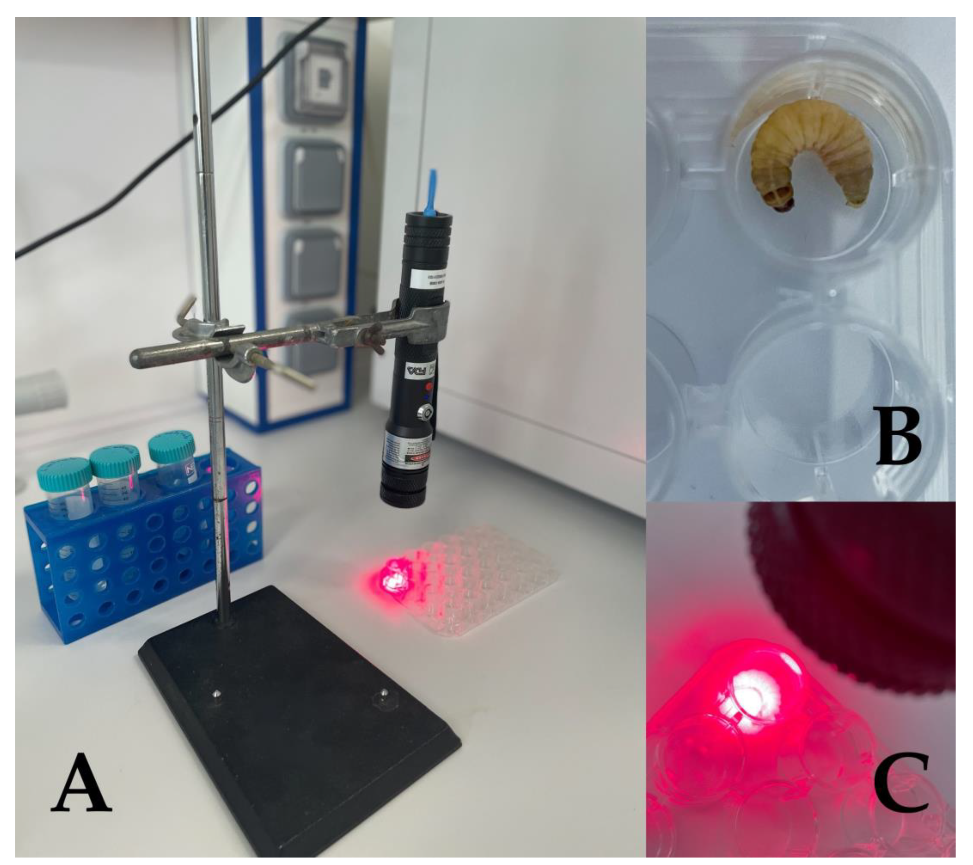 Microorganisms 11 01455 g002