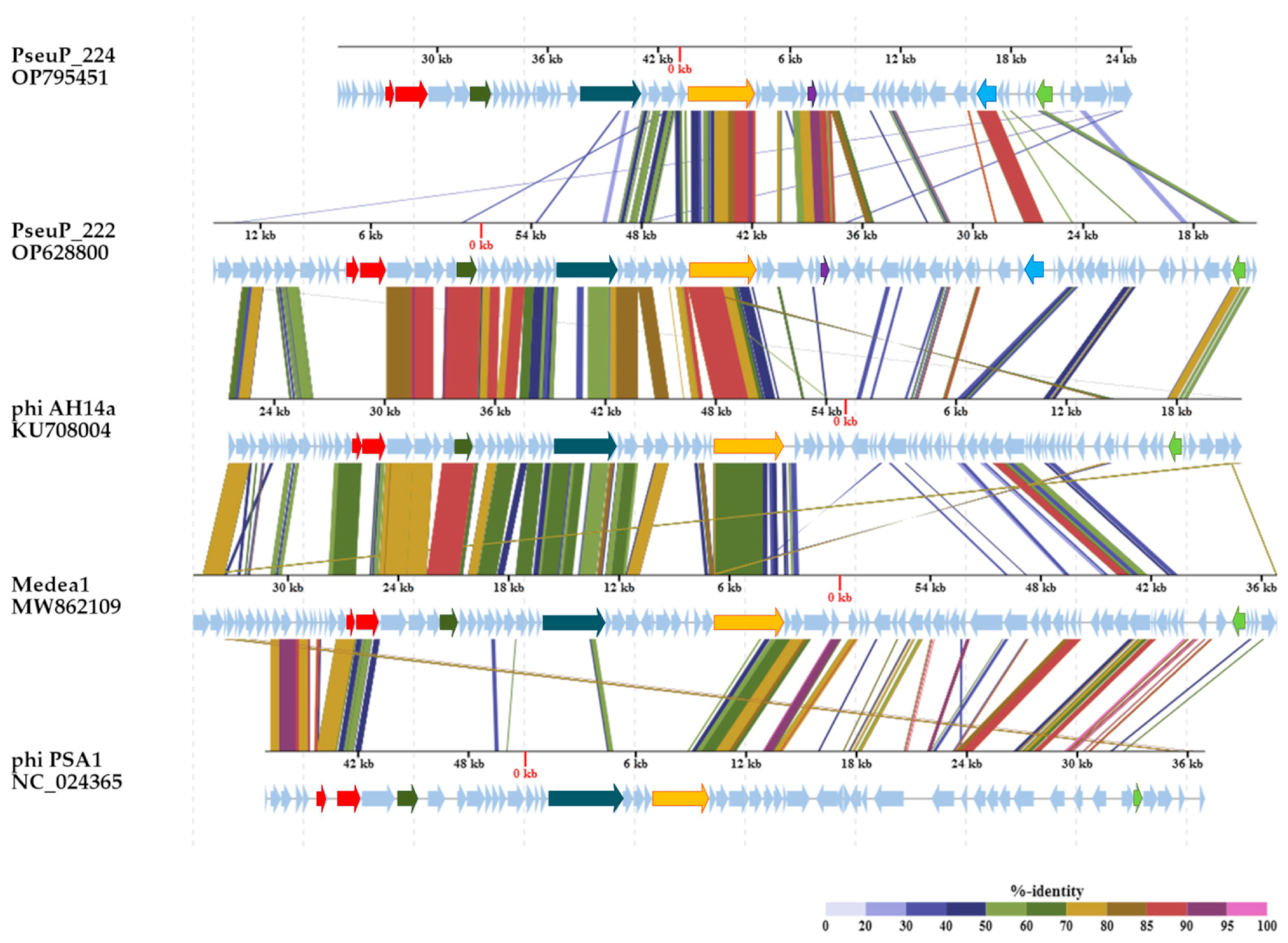 Microorganisms 11 01456 g003