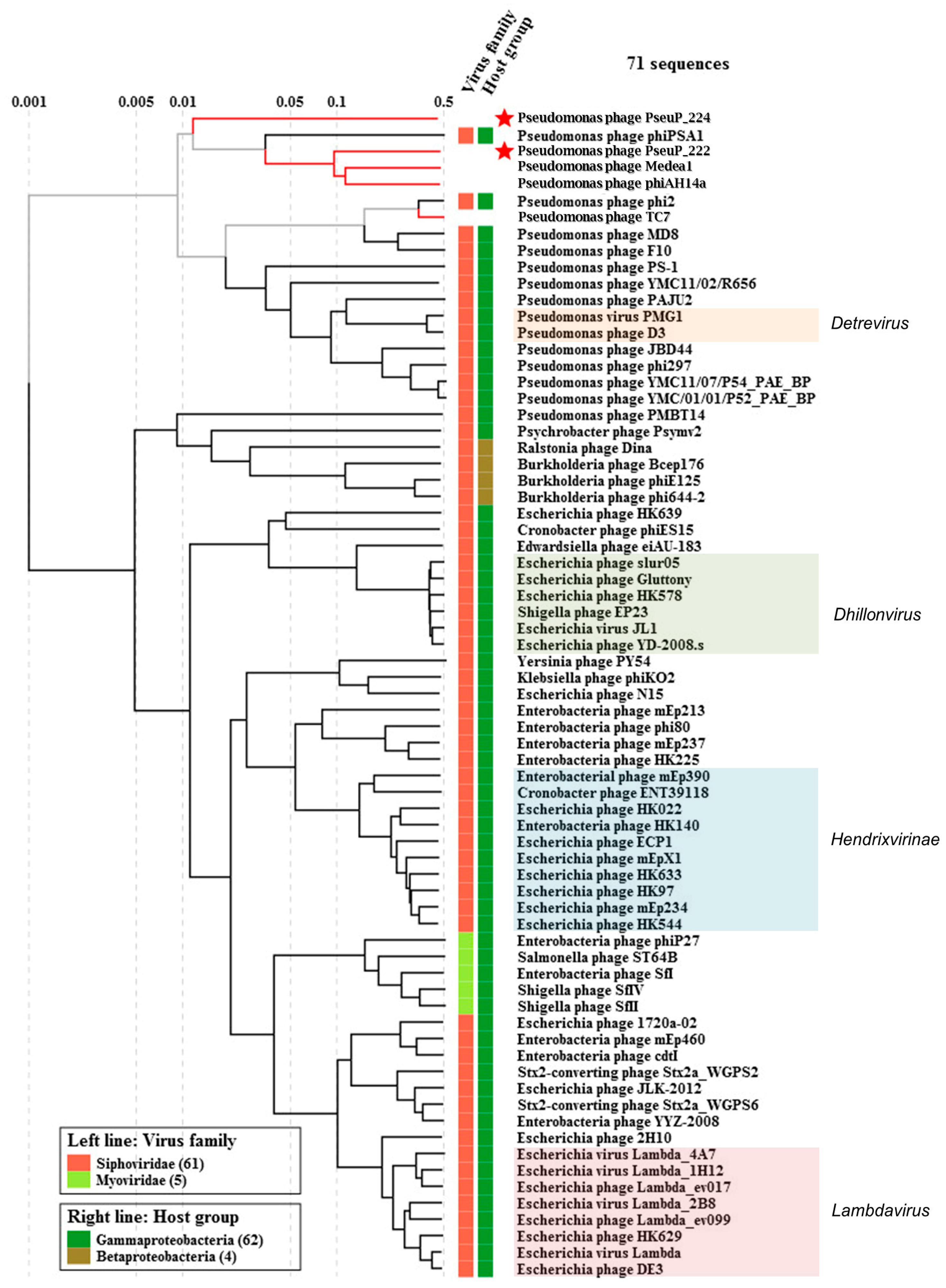 Microorganisms 11 01456 g004