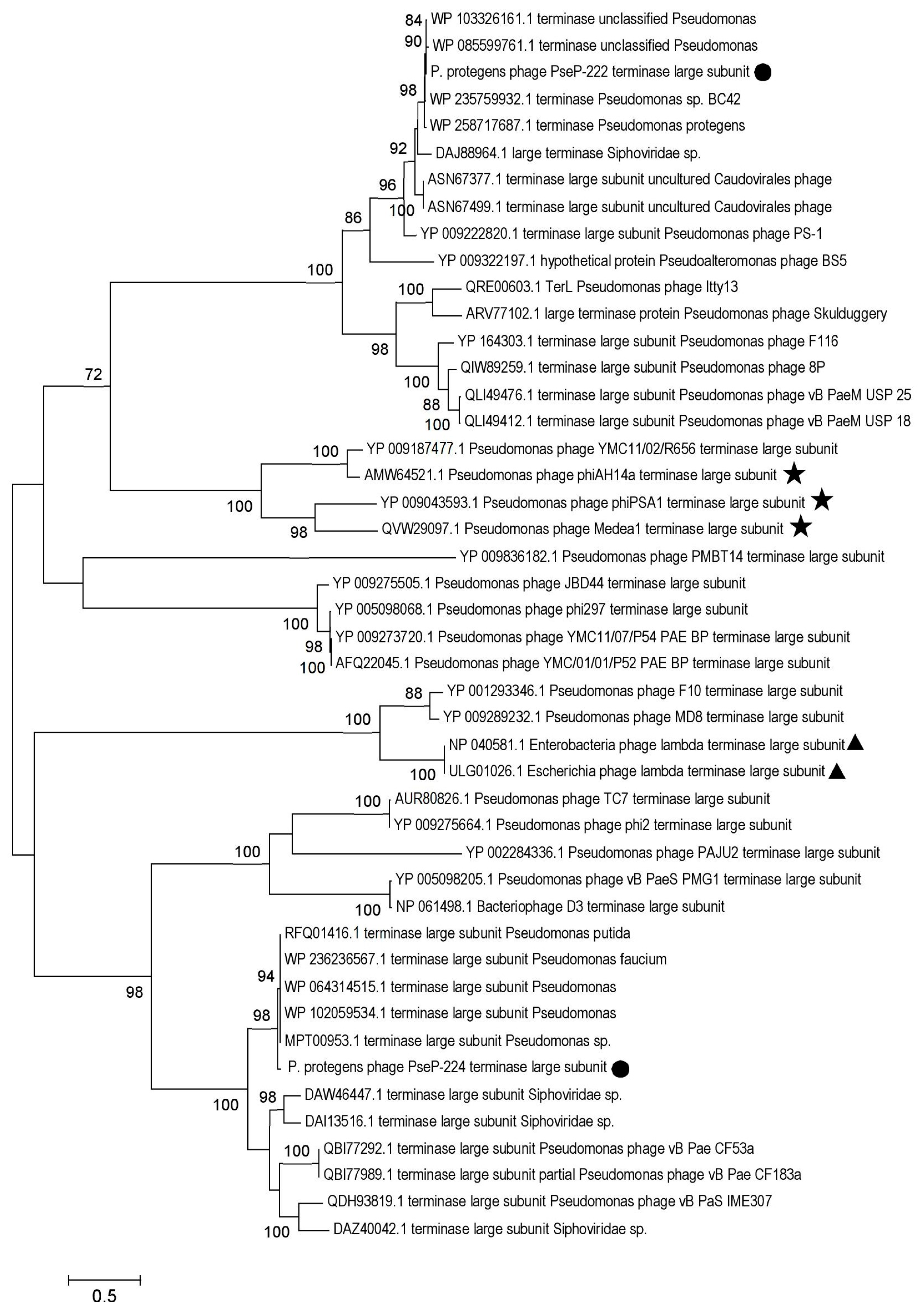 Microorganisms 11 01456 g006