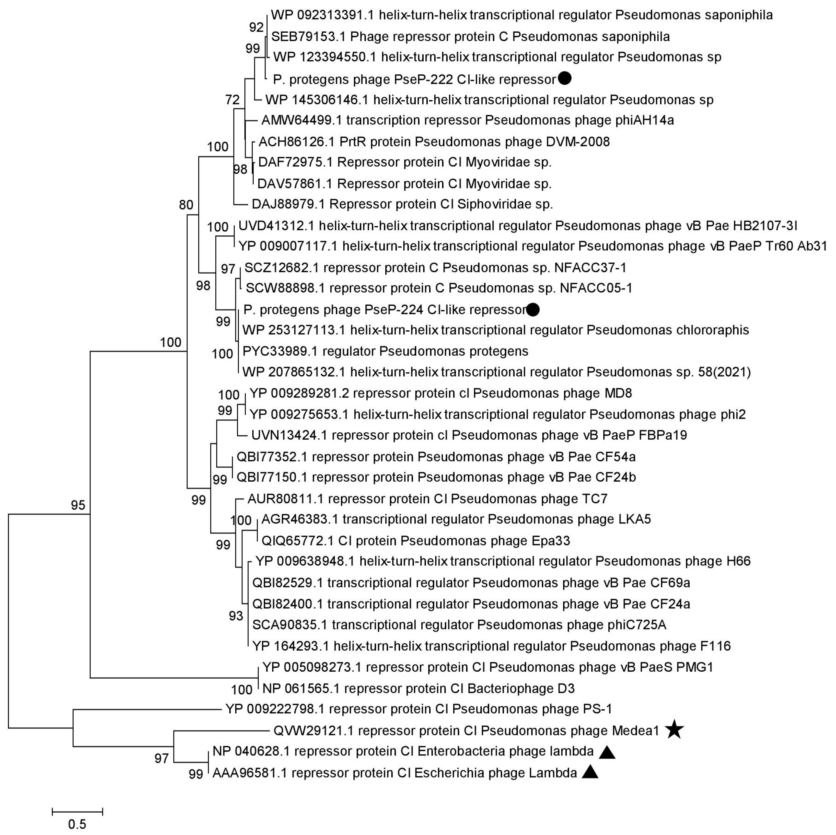Microorganisms 11 01456 g008