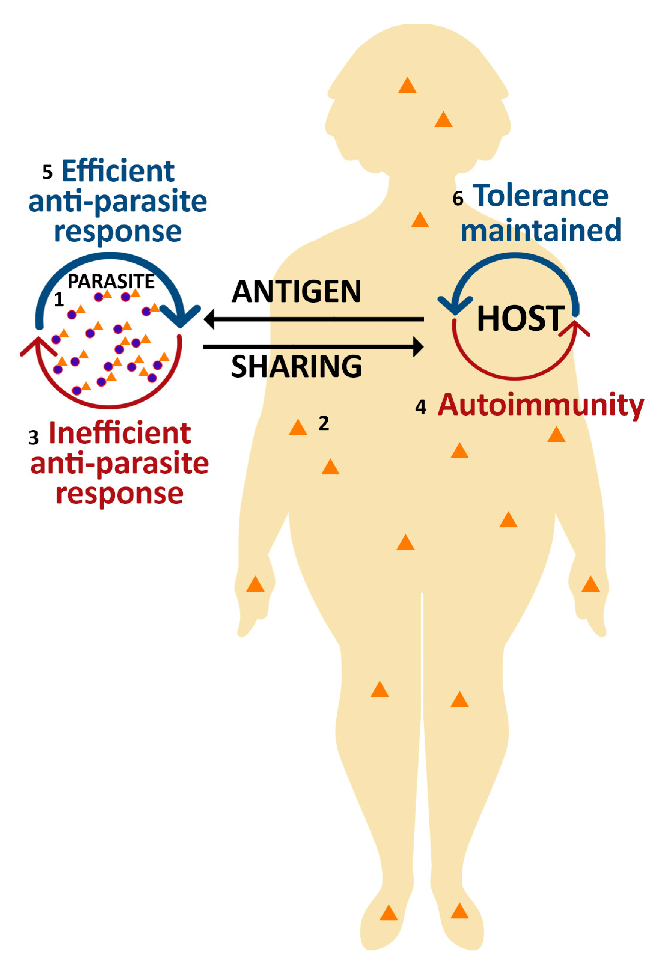 Microorganisms 11 01472 g001