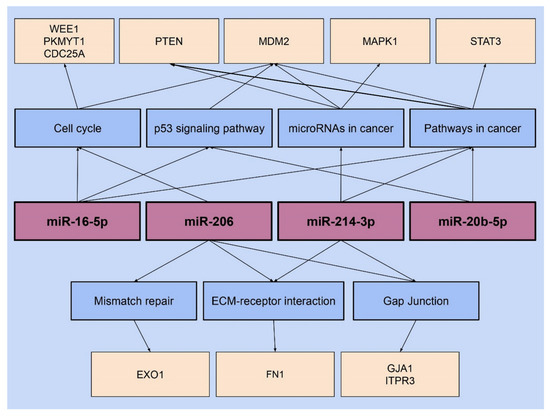 Effect of Borrelia burgdorferi on the Expression of miRNAs in Breast ...