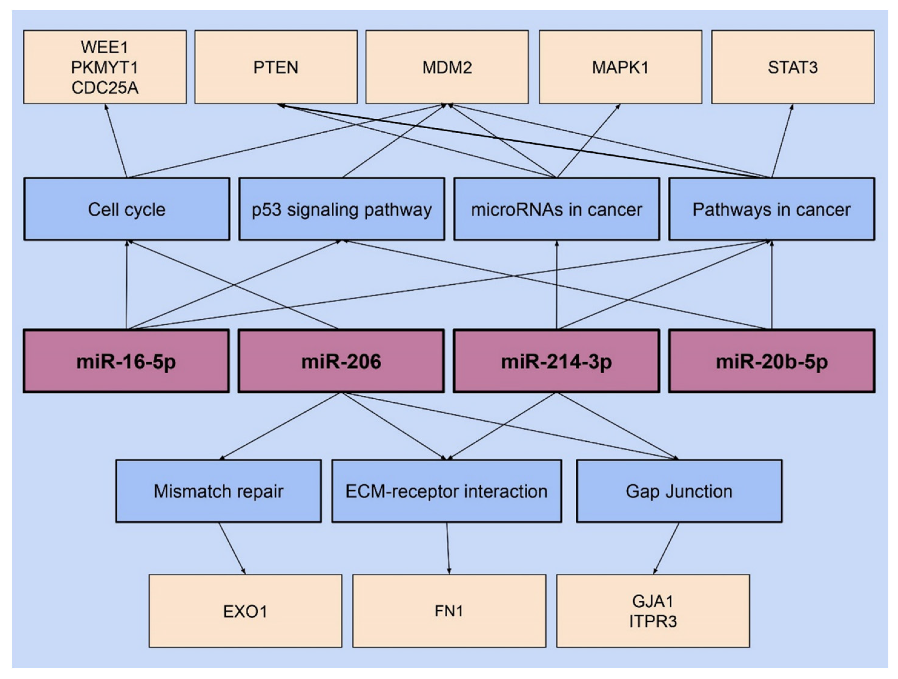 Microorganisms 11 01475 g004