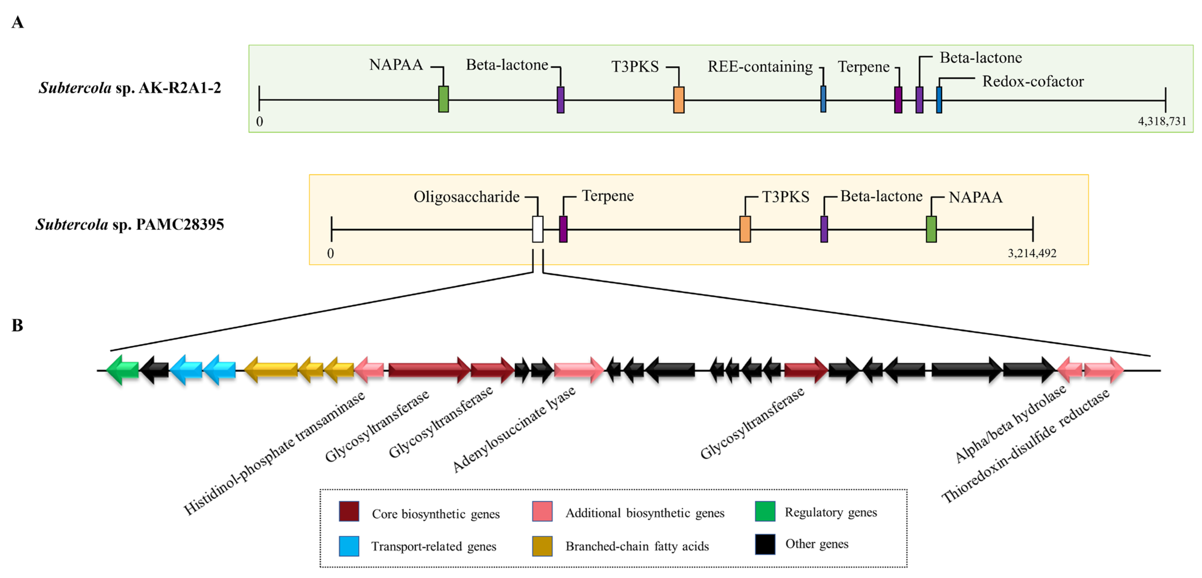 Microorganisms 11 01480 g004 Microorganisms 11 01480 g004