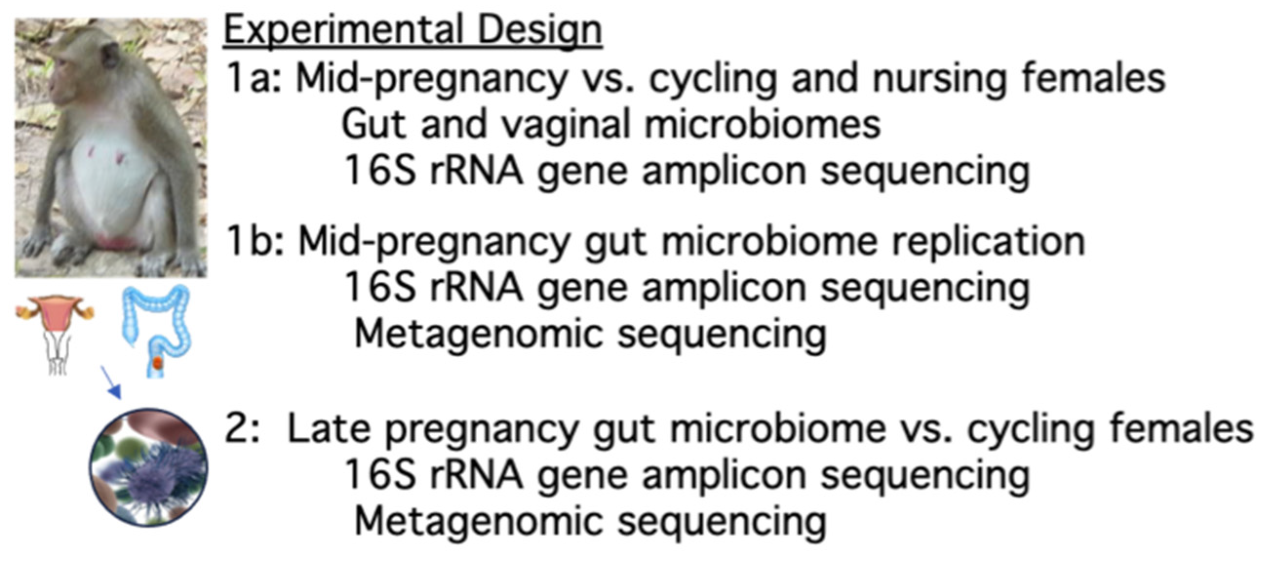 Significant Microbial Changes Are Evident in the
