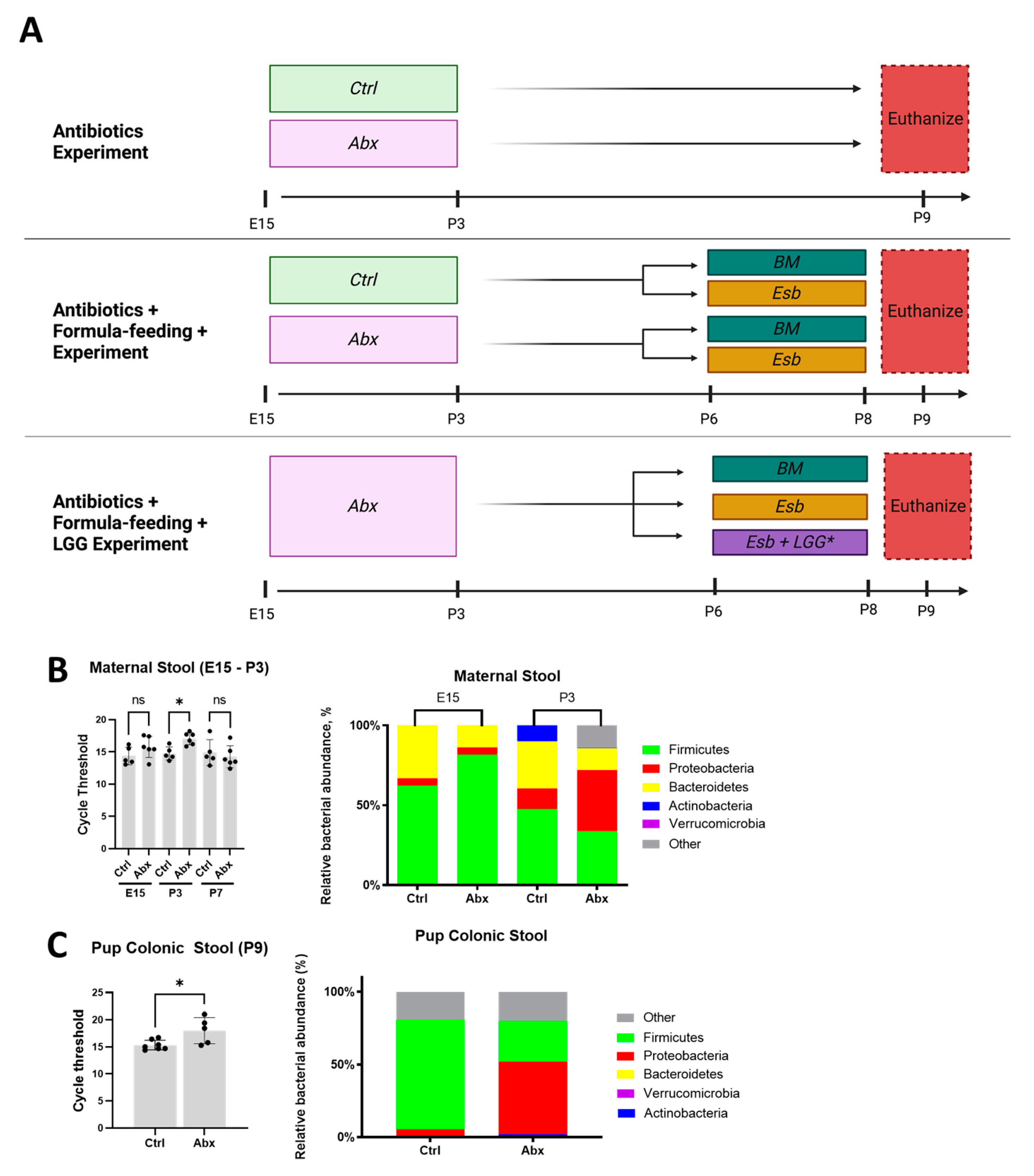 Microorganisms 11 01482 g001