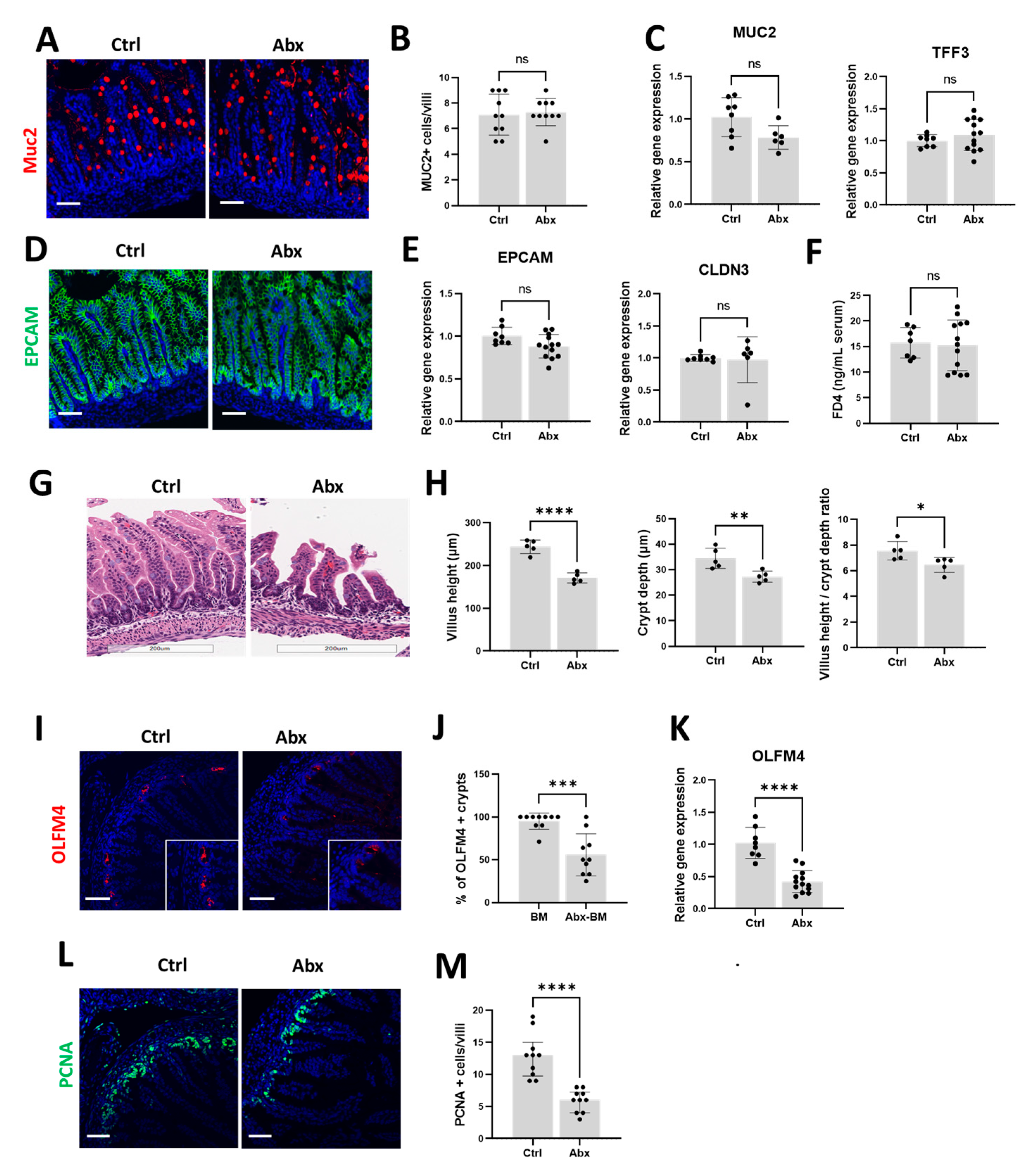 Microorganisms 11 01482 g002