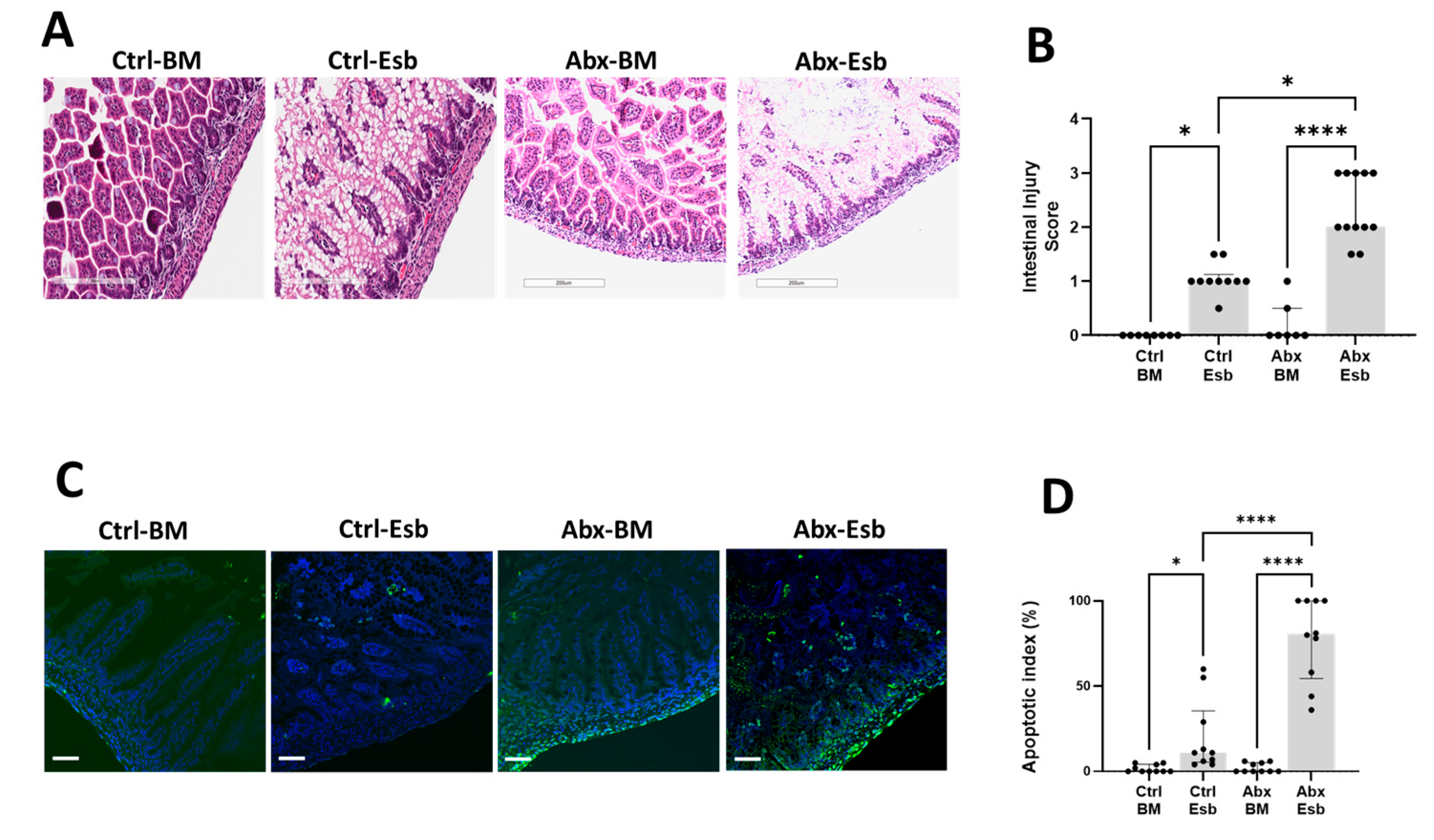 Microorganisms 11 01482 g003