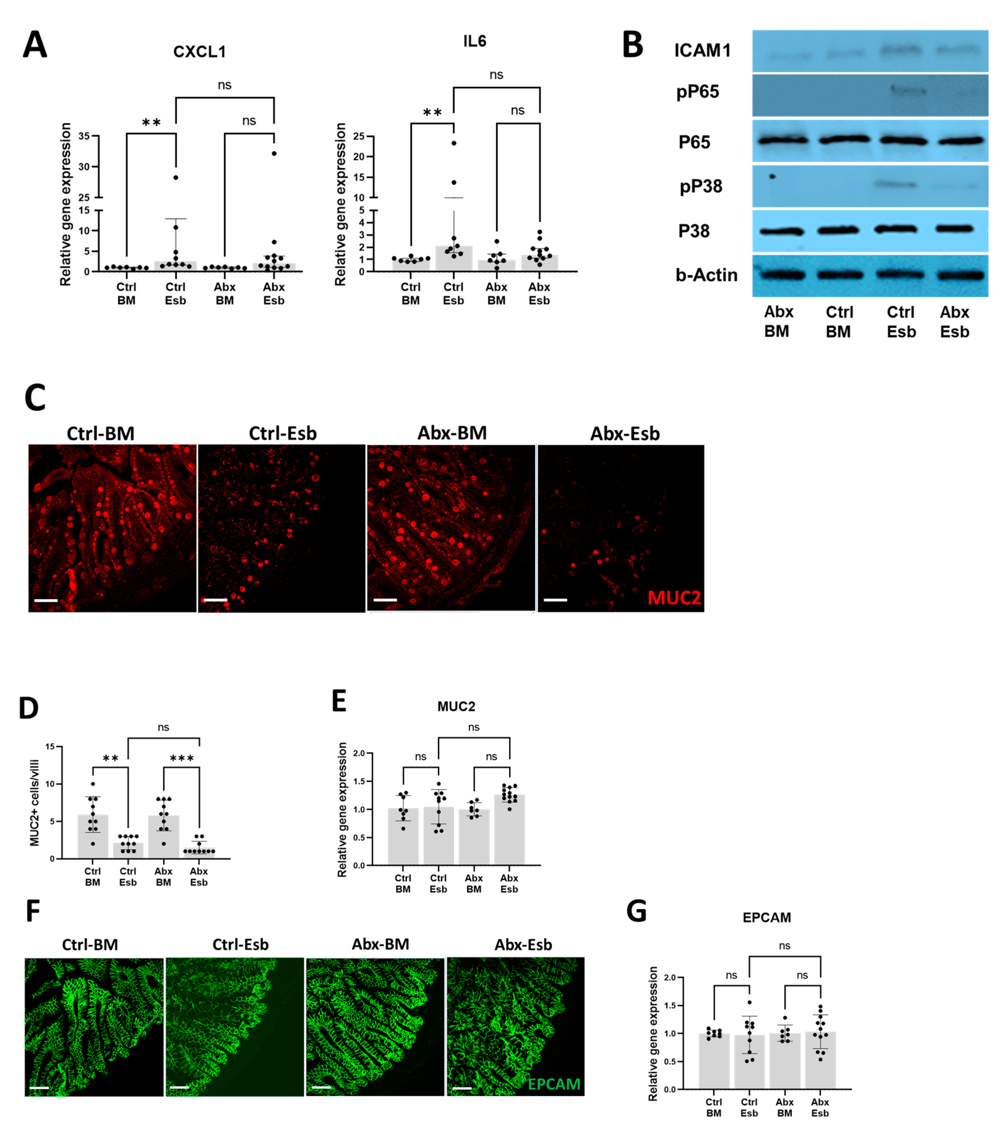 Microorganisms 11 01482 g004