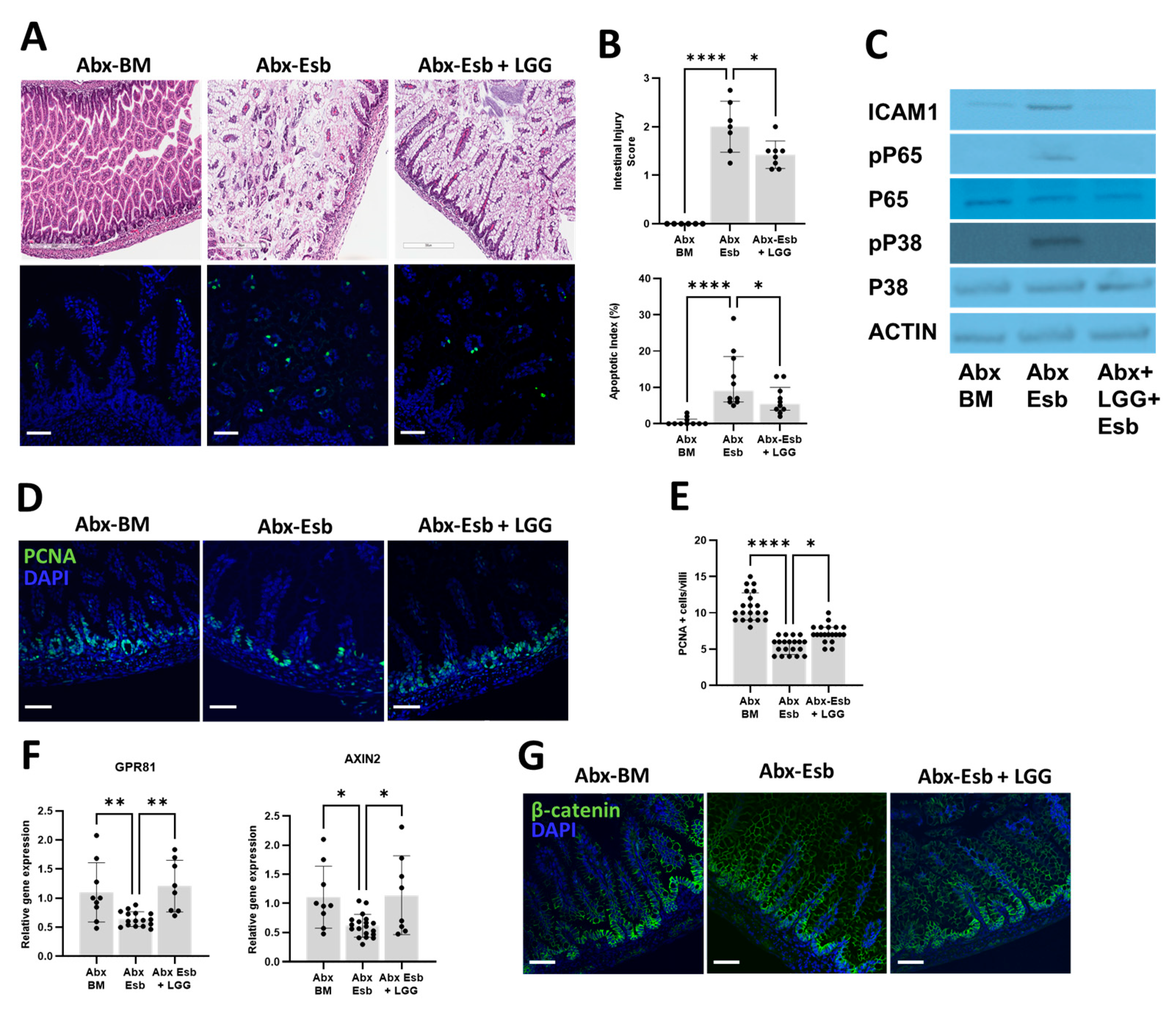 Microorganisms 11 01482 g006