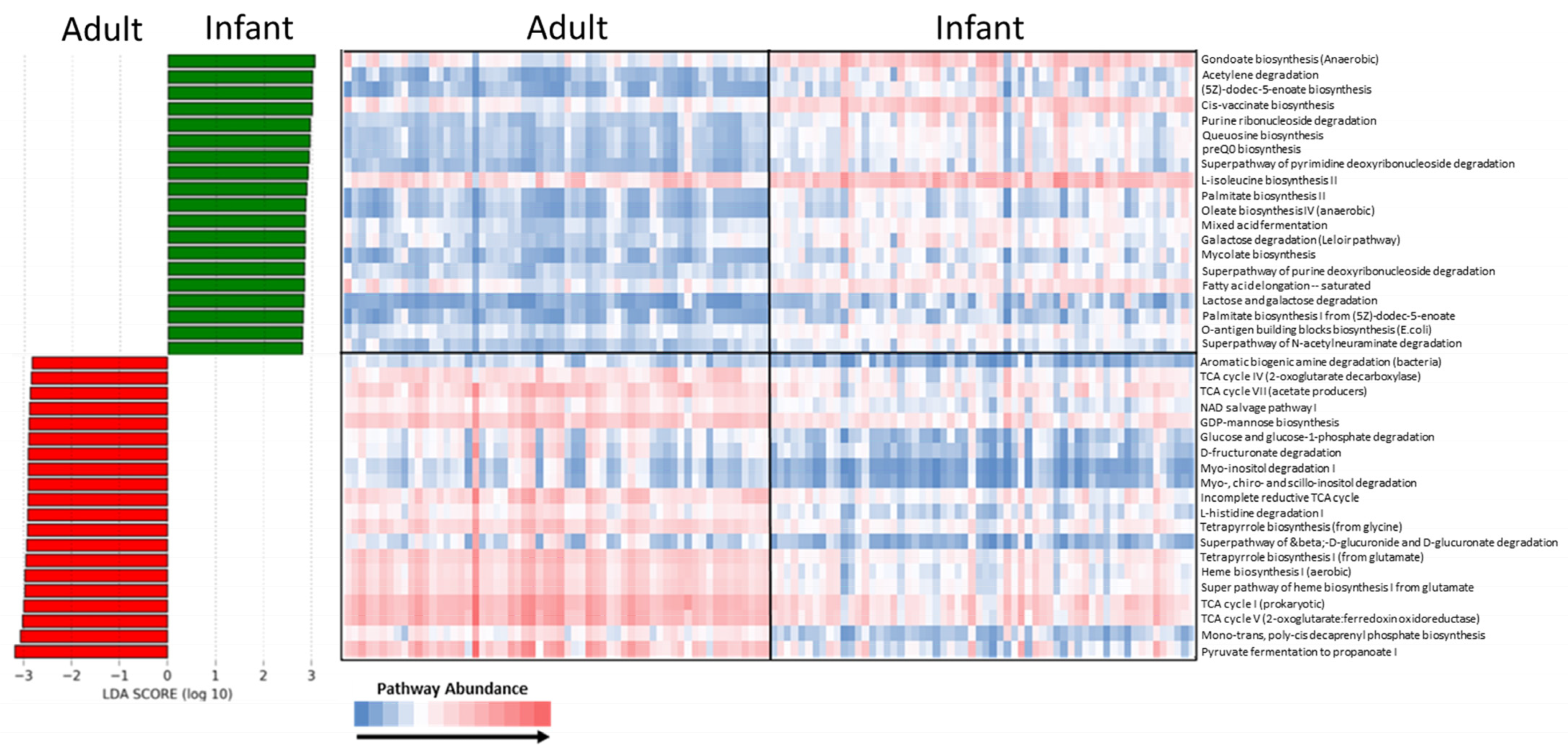 Microorganisms 11 01484 g005 Microorganisms 11 01484 g005