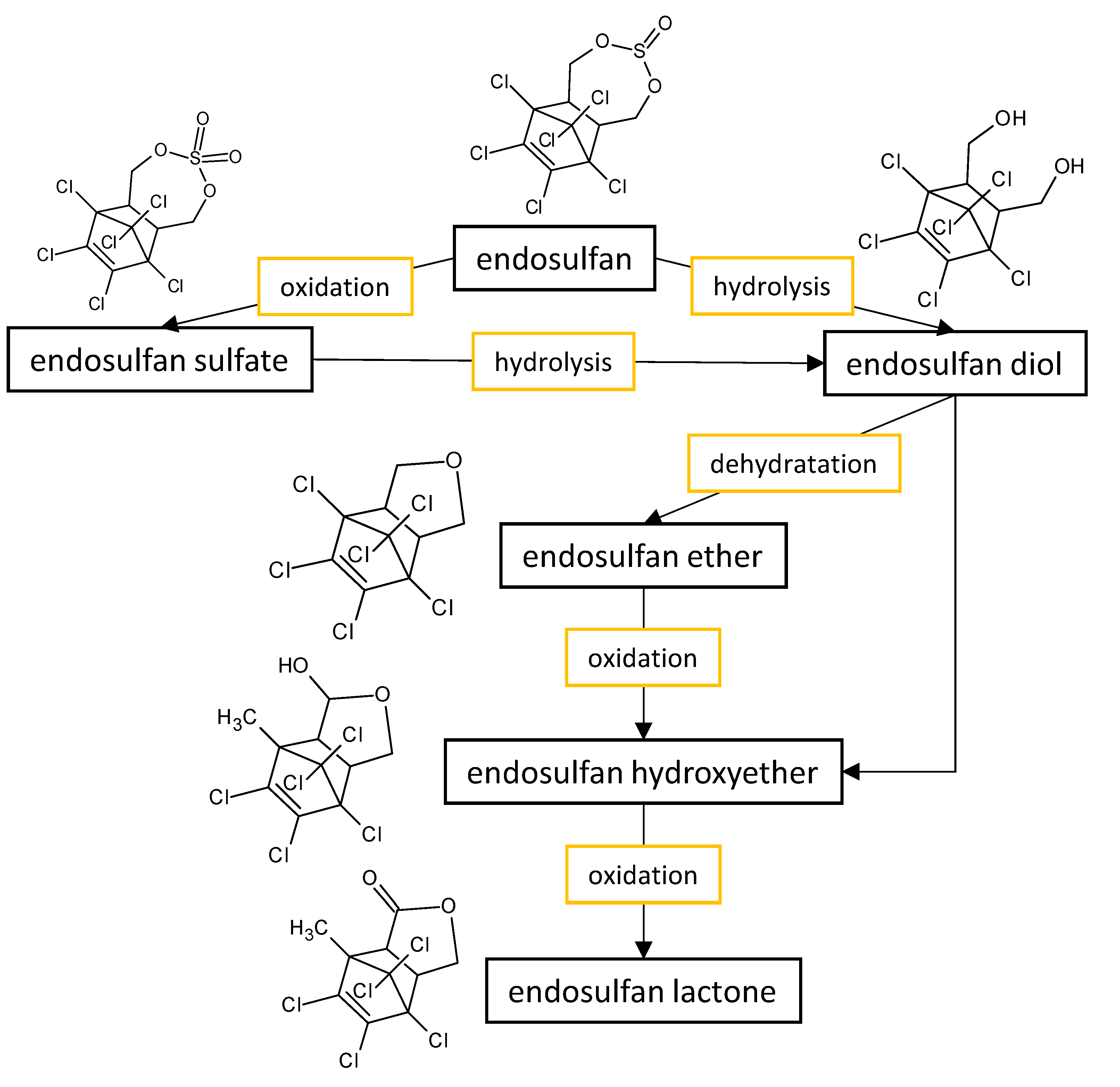 Microorganisms 11 01485 g001