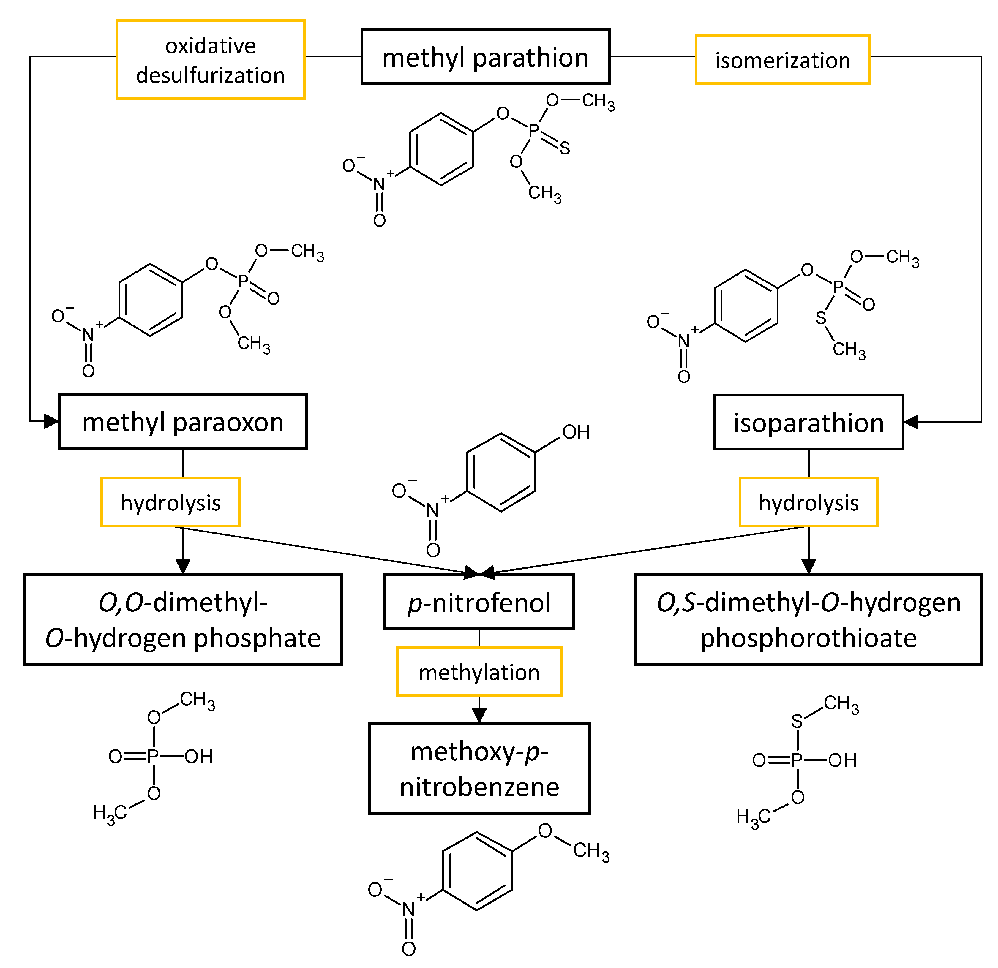 Microorganisms 11 01485 g002