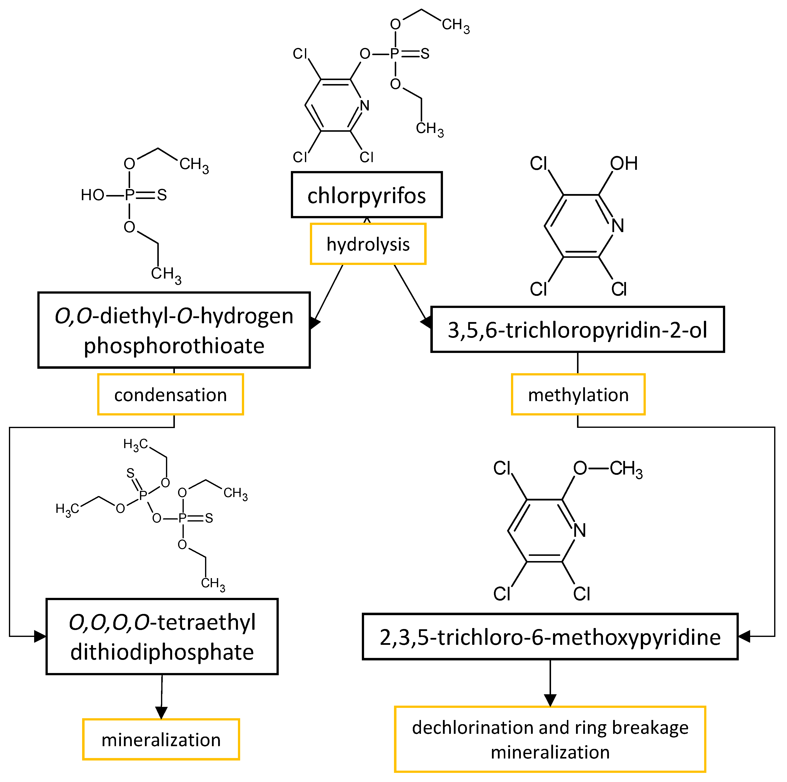 Microorganisms 11 01485 g003