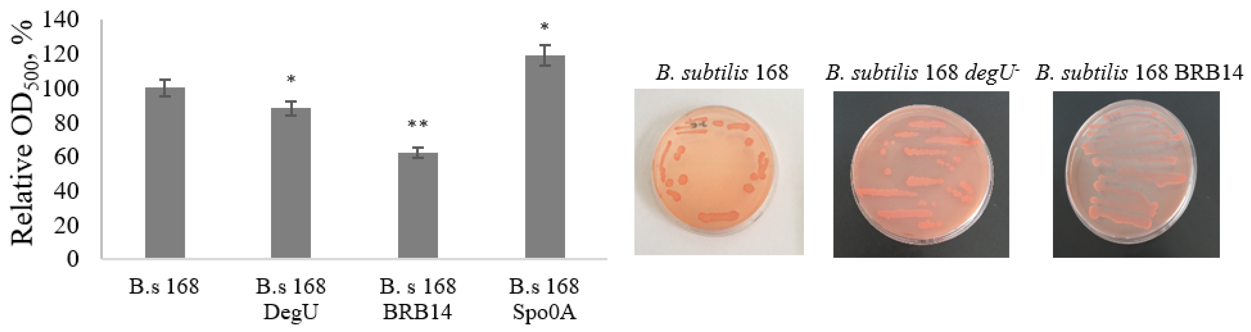 Microorganisms 11 01486 g011