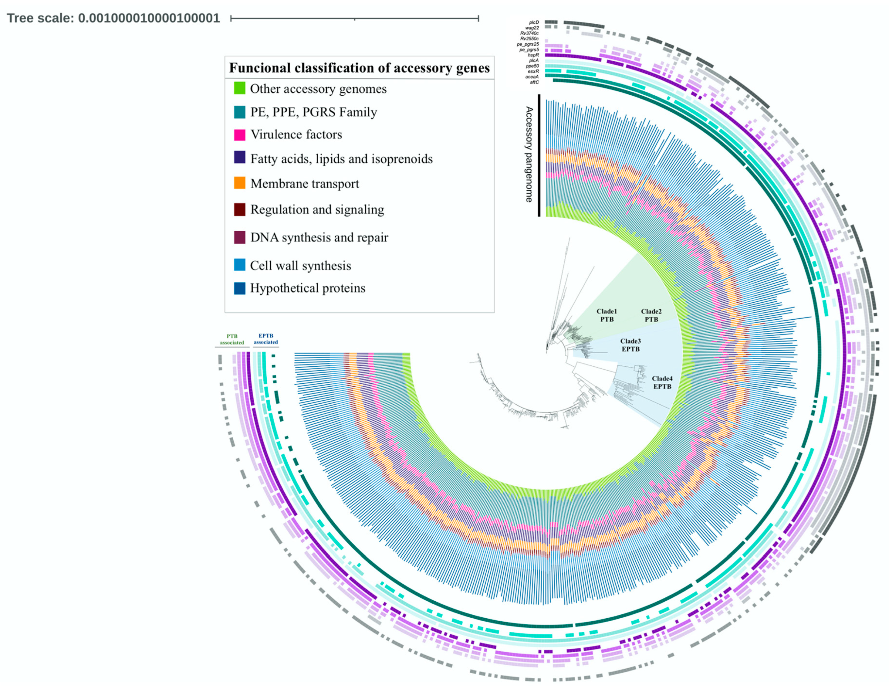 Microorganisms 11 01495 g002 Microorganisms 11 01495 g002