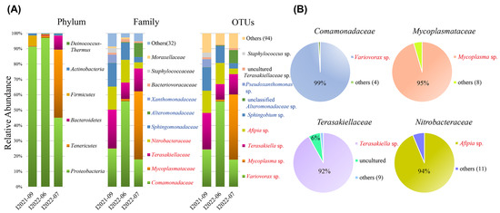 Culture-Independent Single-Cell PacBio Sequencing Reveals