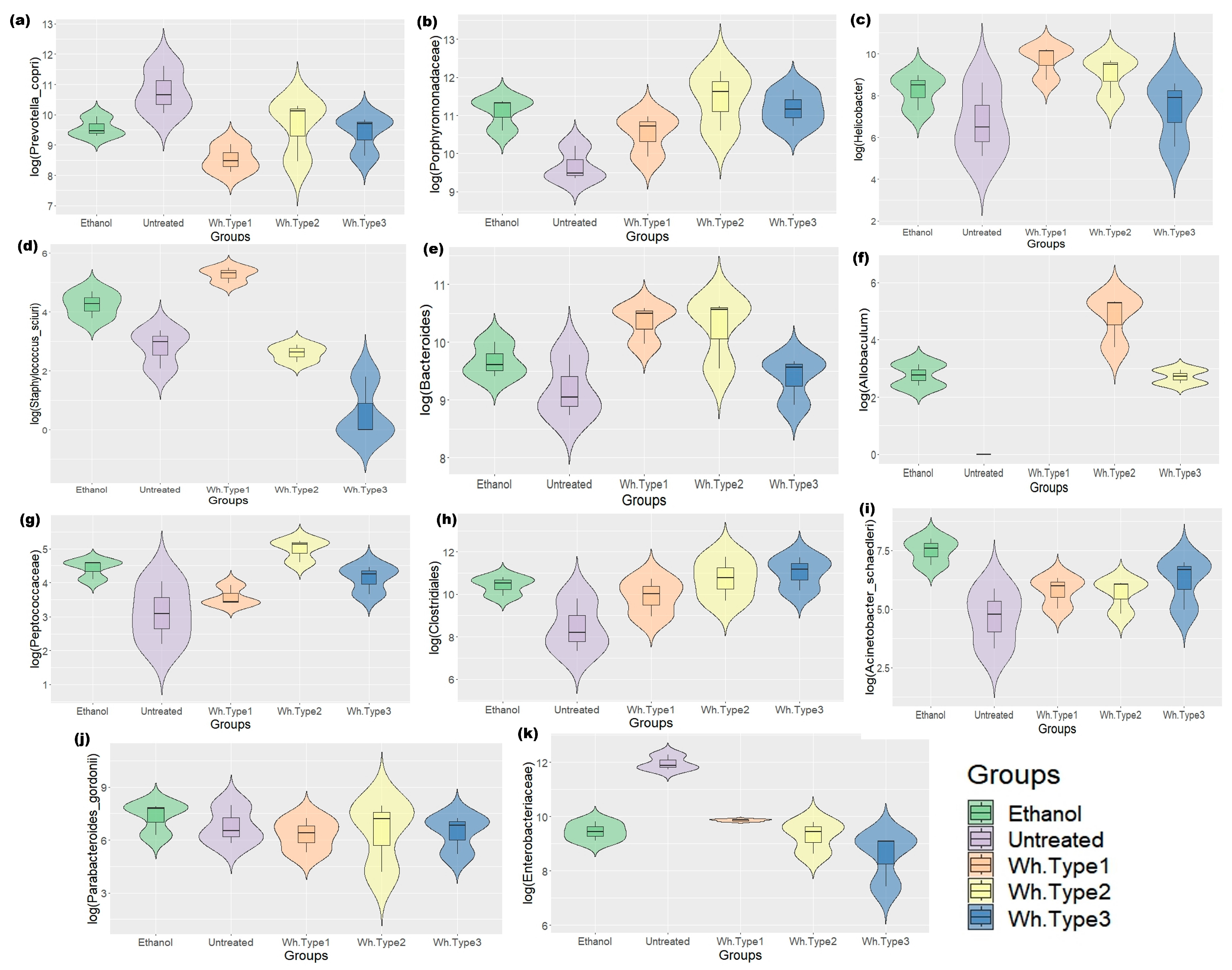 Microorganisms 11 01501 g004 Microorganisms 11 01501 g004