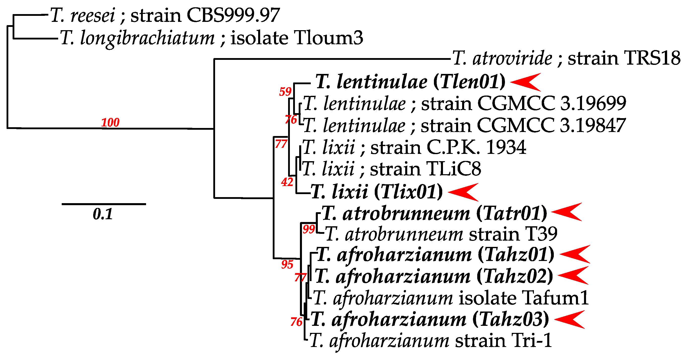 Microorganisms 11 01512 g001 Microorganisms 11 01512 g001