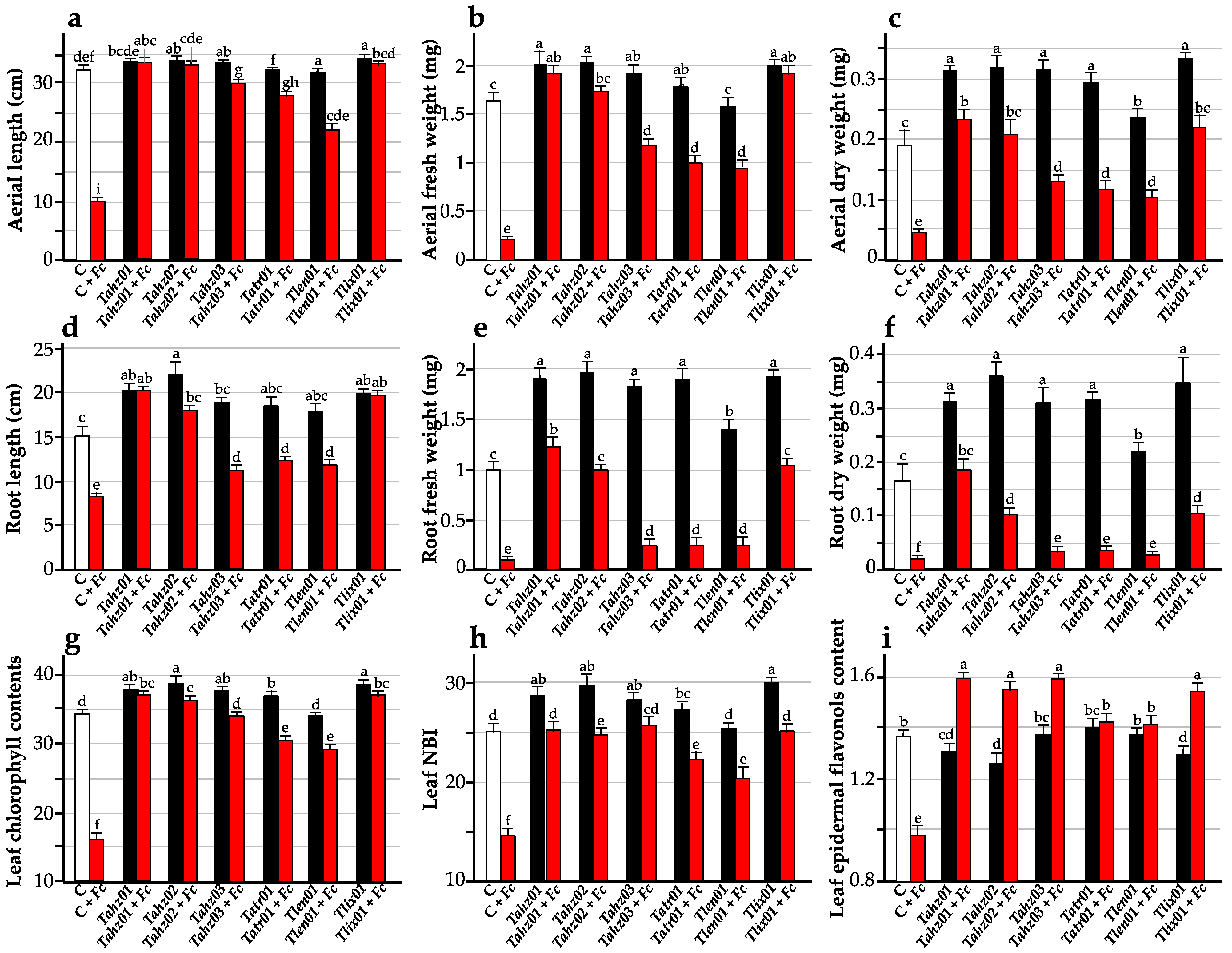 Microorganisms 11 01512 g003 Microorganisms 11 01512 g003