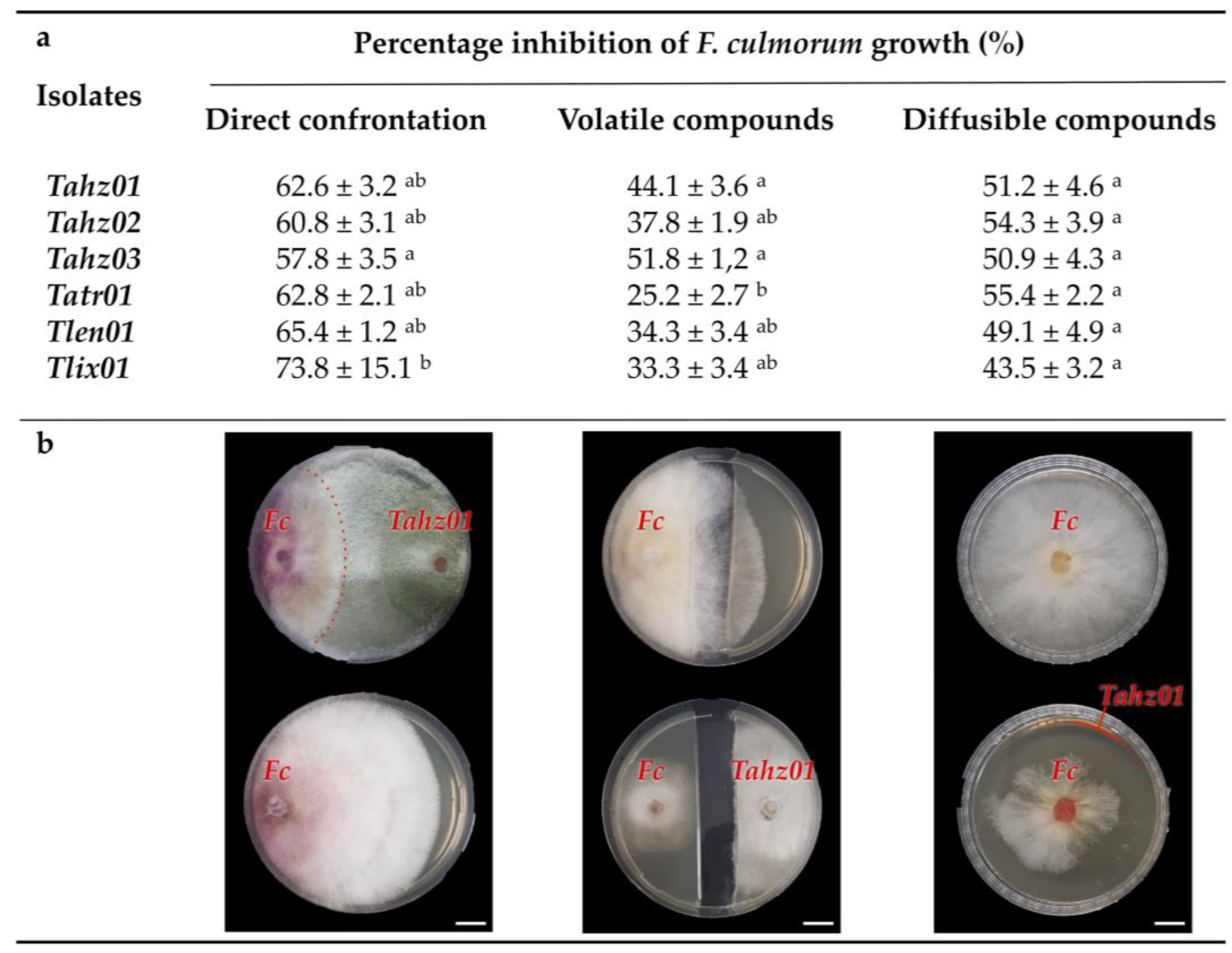 Microorganisms 11 01512 g005 Microorganisms 11 01512 g005