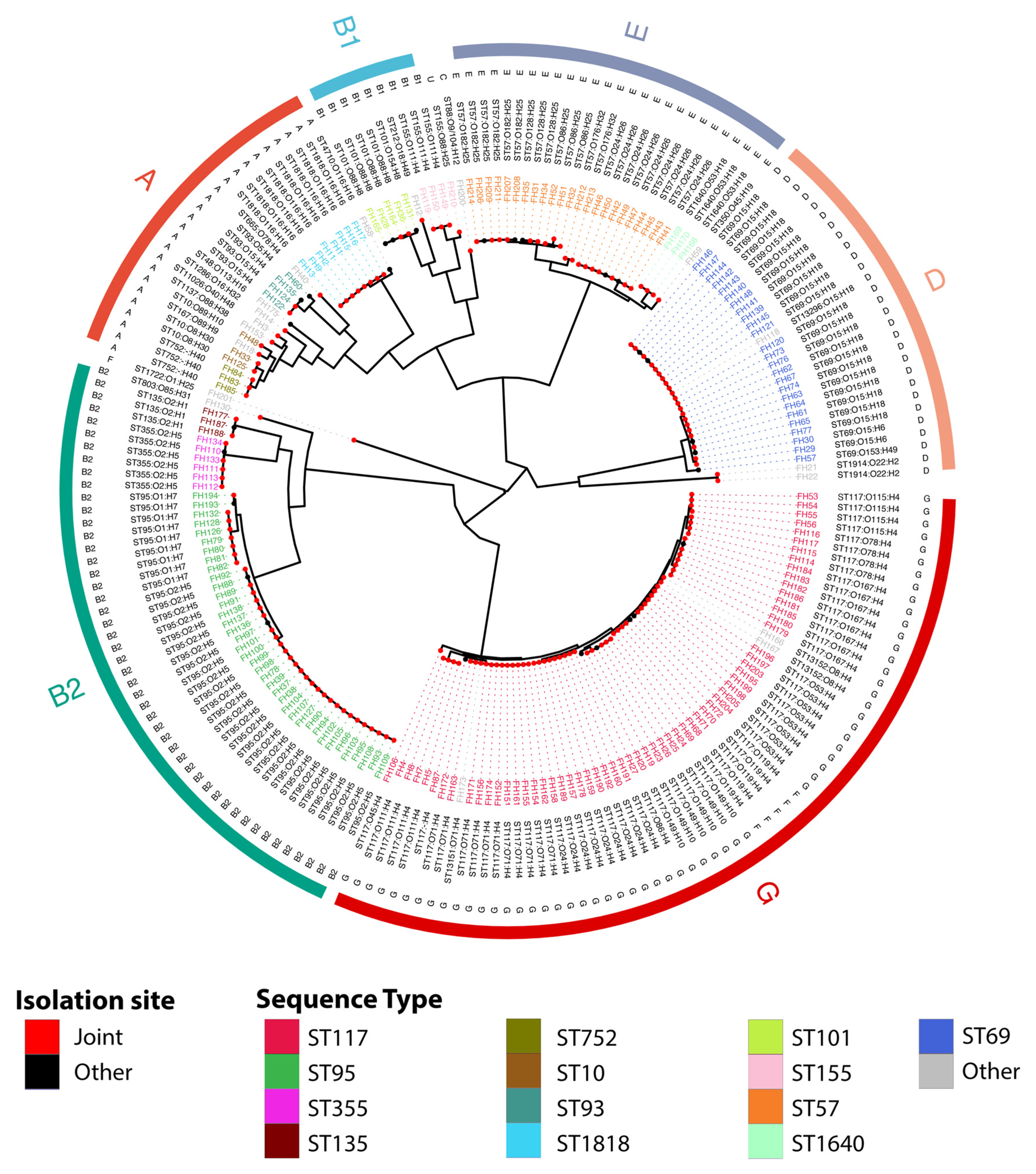 Microorganisms 11 01513 g001 Microorganisms 11 01513 g001