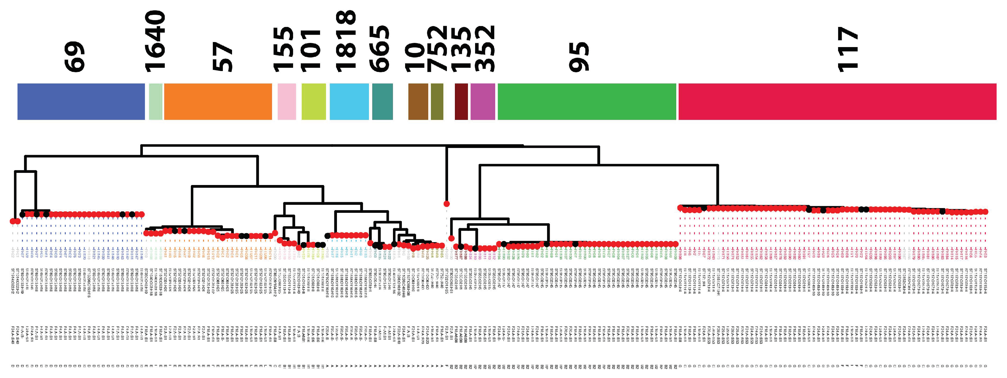 Microorganisms 11 01513 g003a Microorganisms 11 01513 g003a