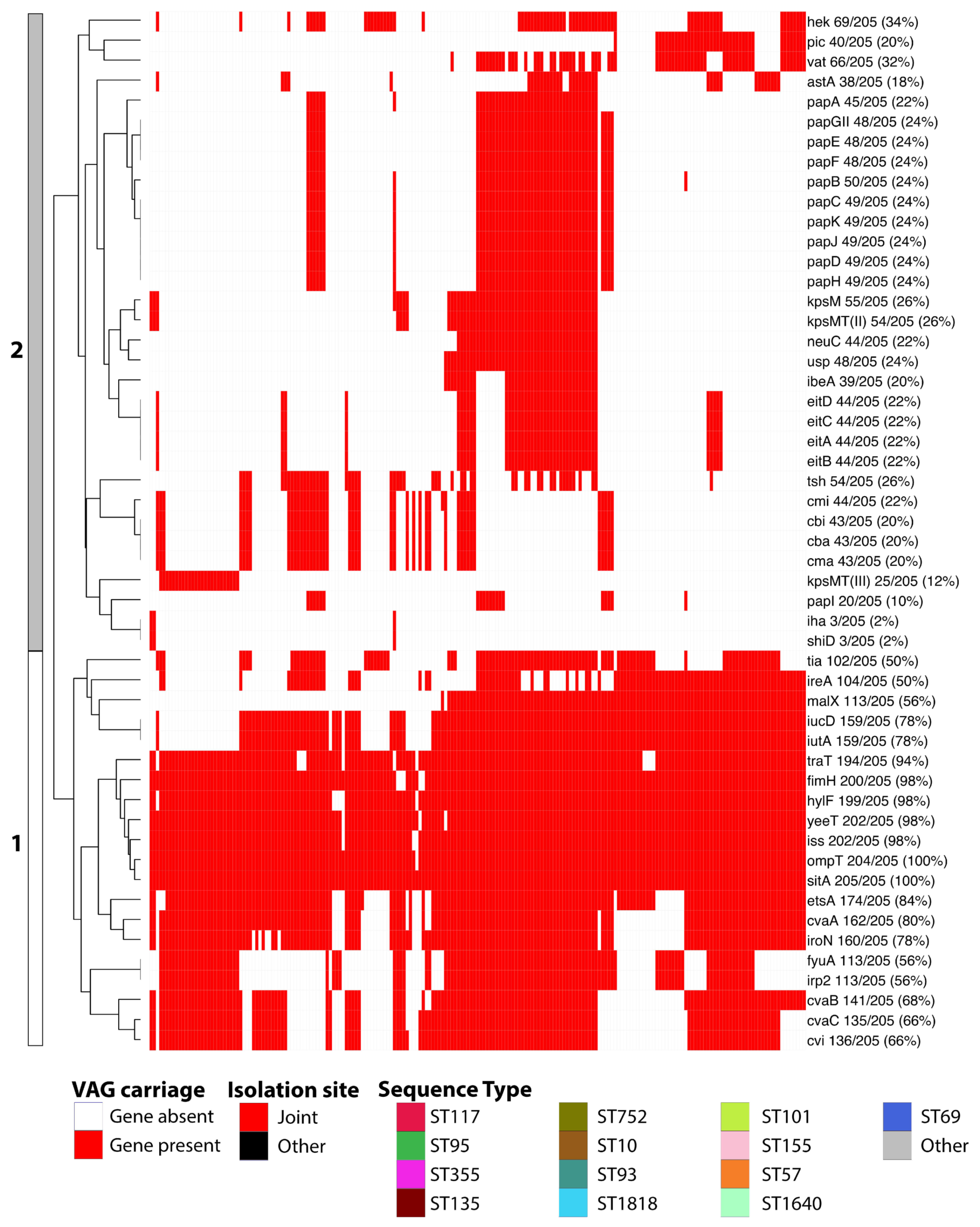 Microorganisms 11 01513 g003b Microorganisms 11 01513 g003b