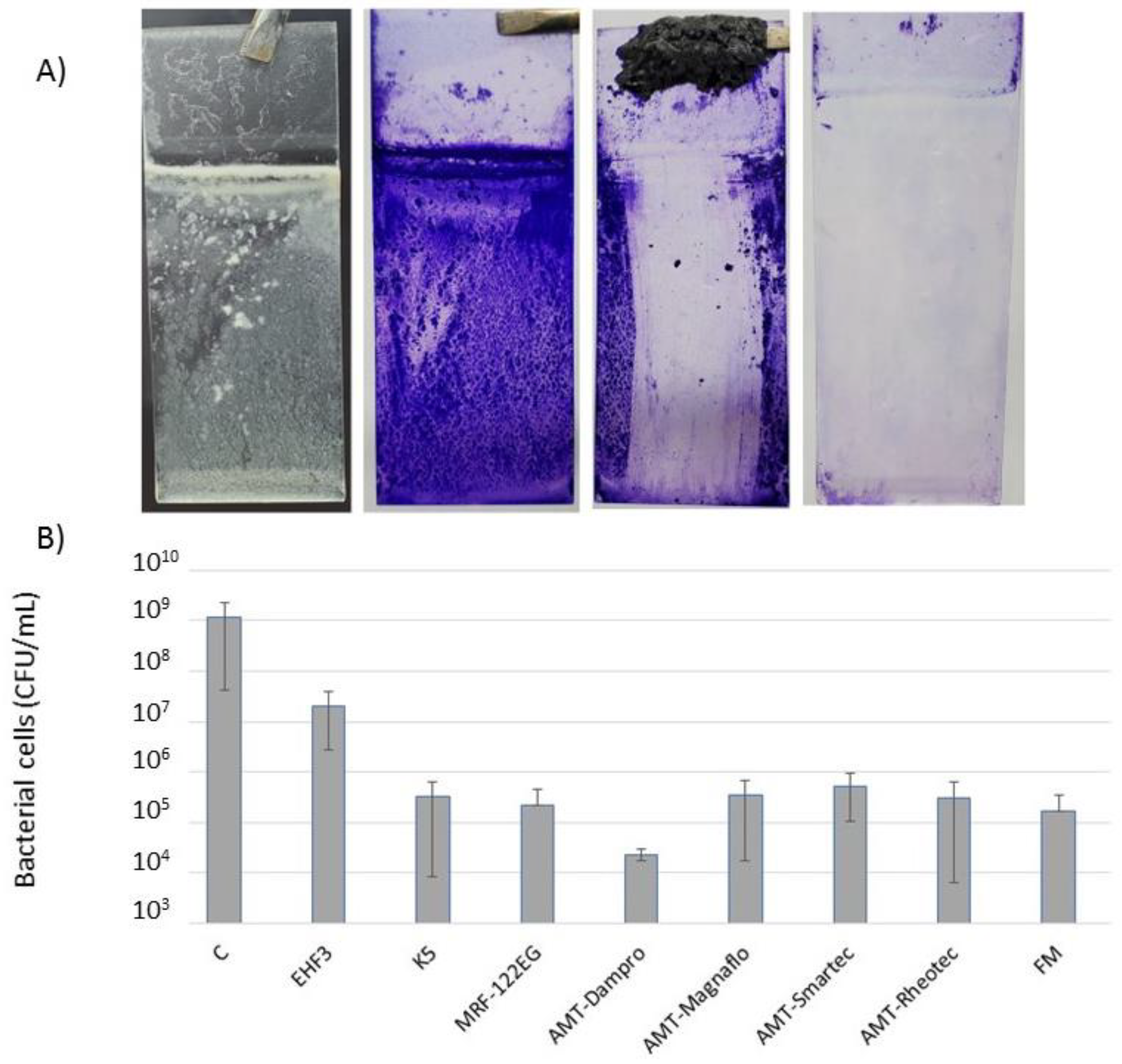 Microorganisms 11 01515 g004
