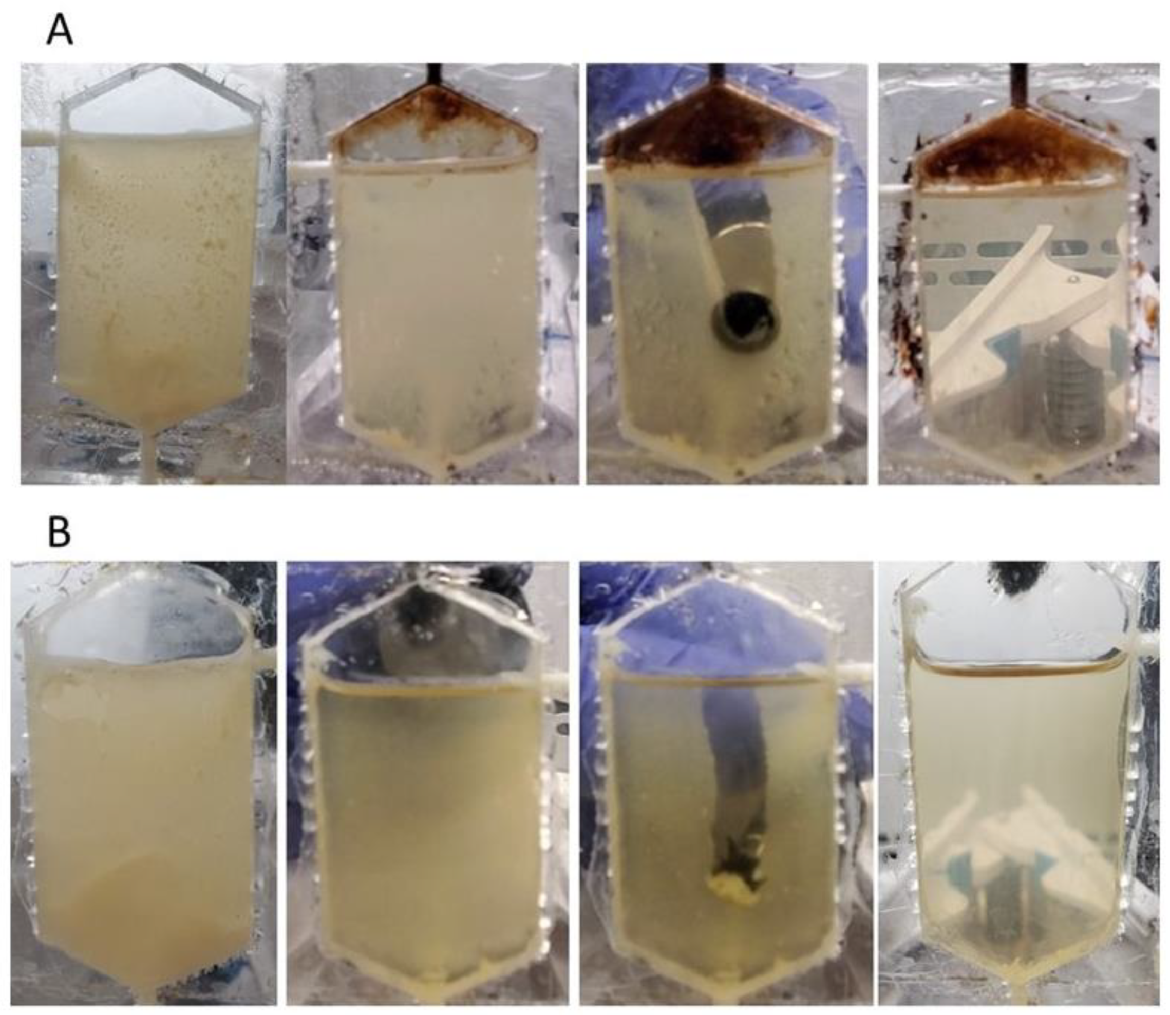 Microorganisms 11 01515 g008