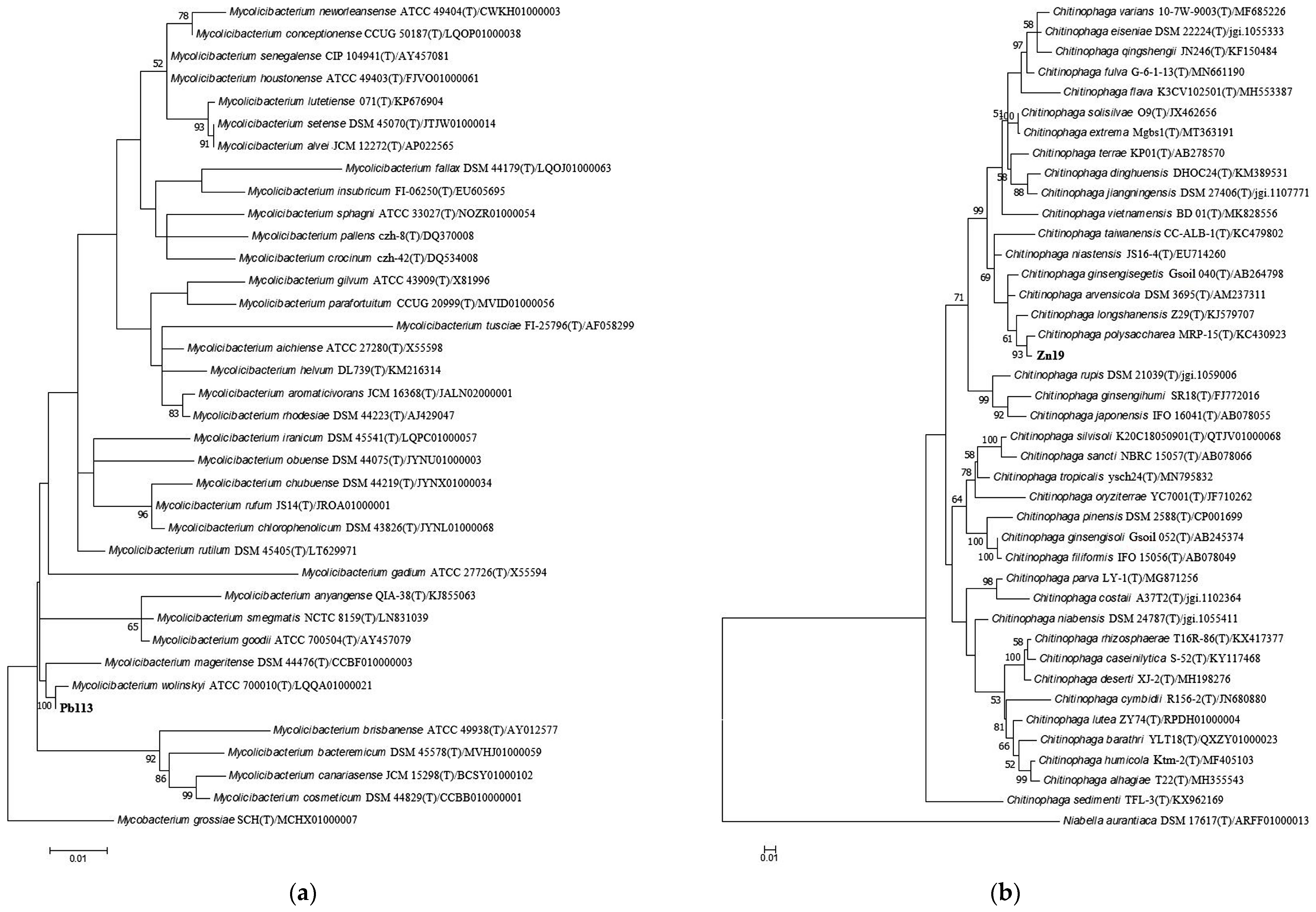 Microorganisms 11 01516 g001 Microorganisms 11 01516 g001