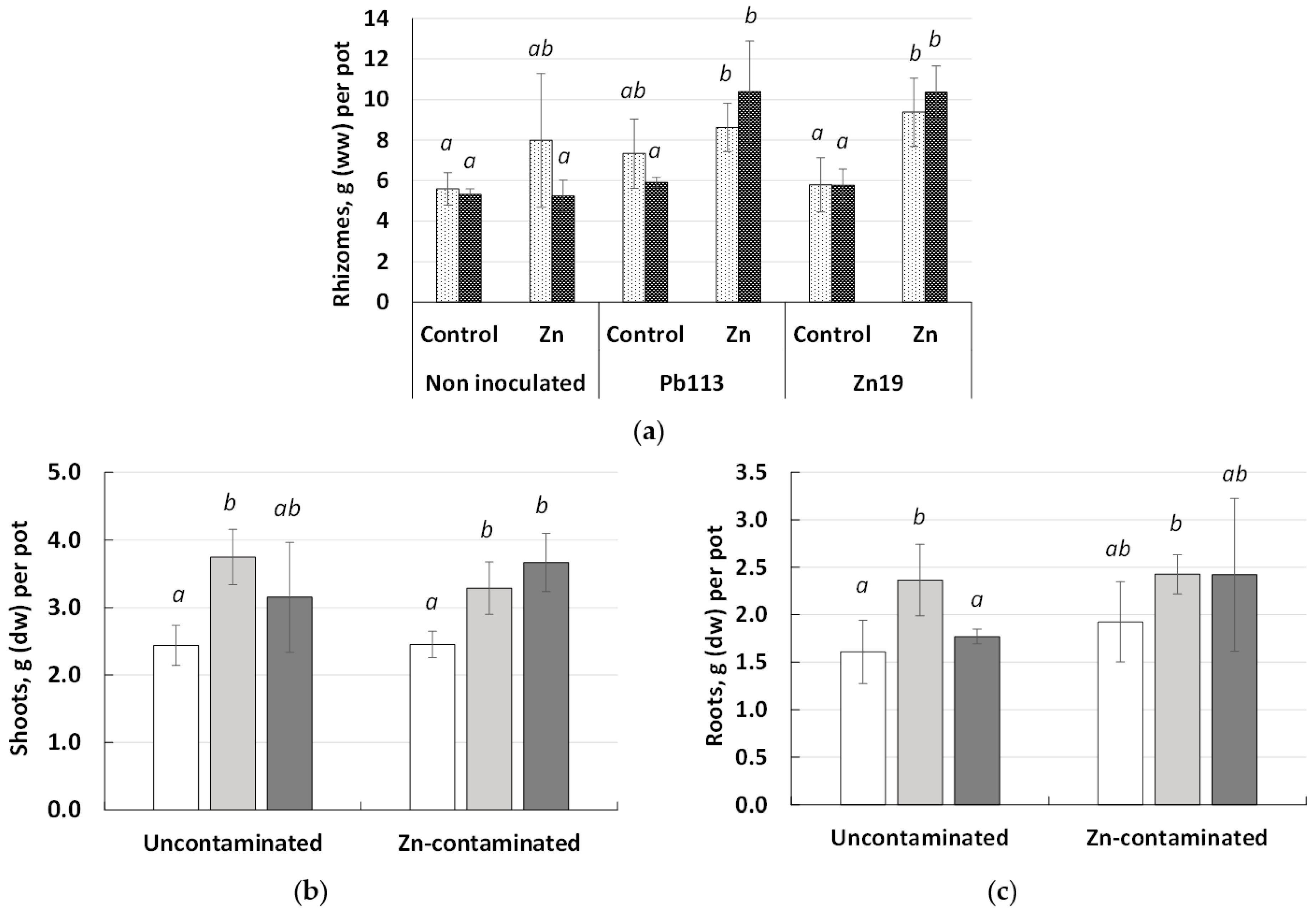Microorganisms 11 01516 g003 Microorganisms 11 01516 g003