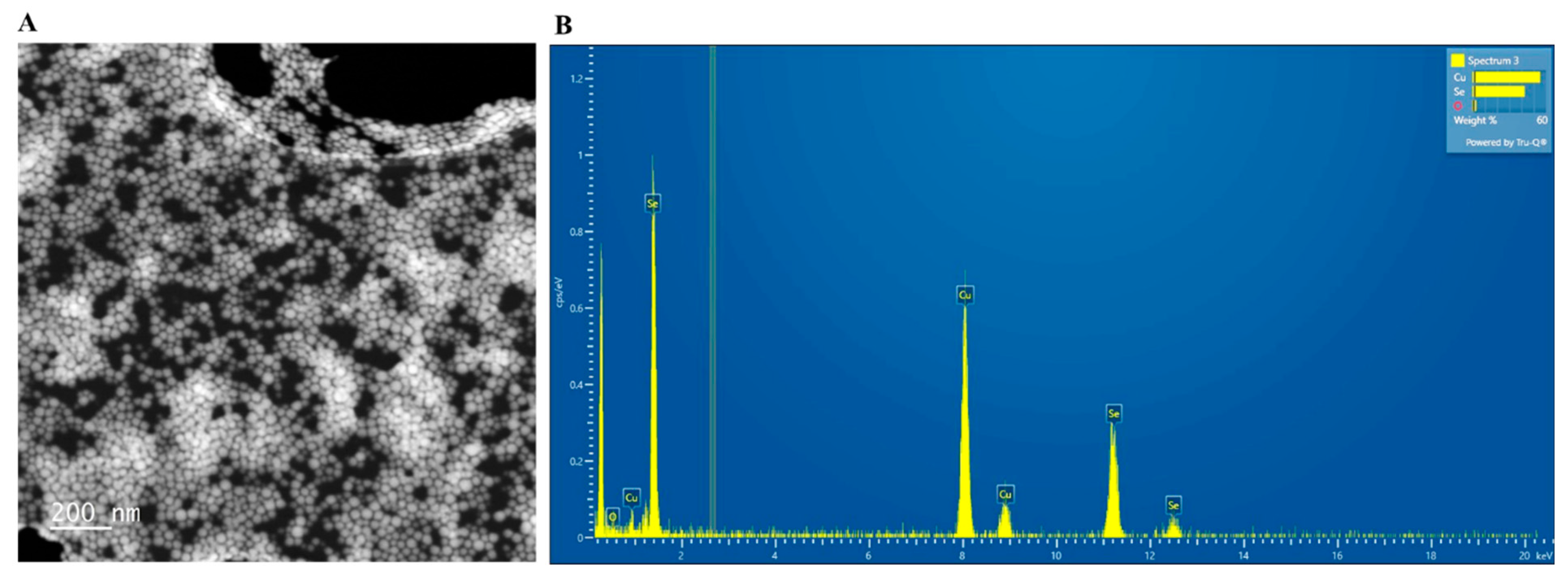 Microorganisms 11 01519 g002 Microorganisms 11 01519 g002