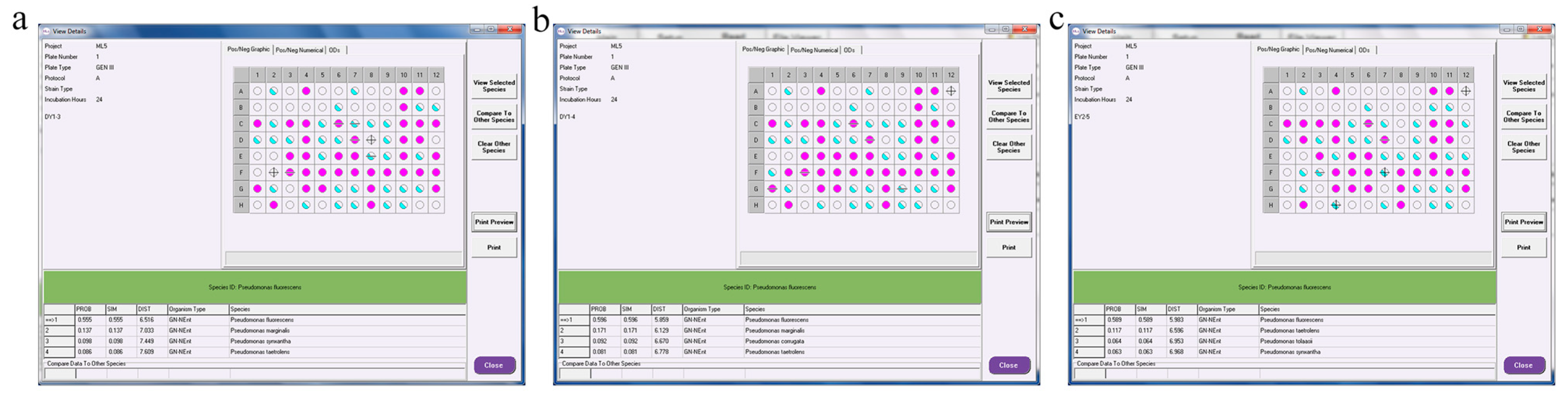 Microorganisms 11 01521 g007 Microorganisms 11 01521 g007