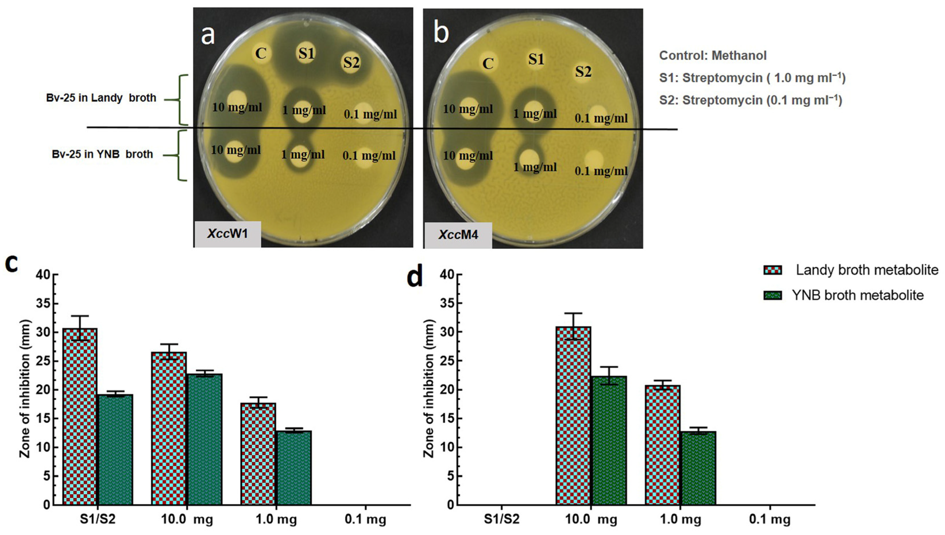 Microorganisms 11 01523 g001 Microorganisms 11 01523 g001