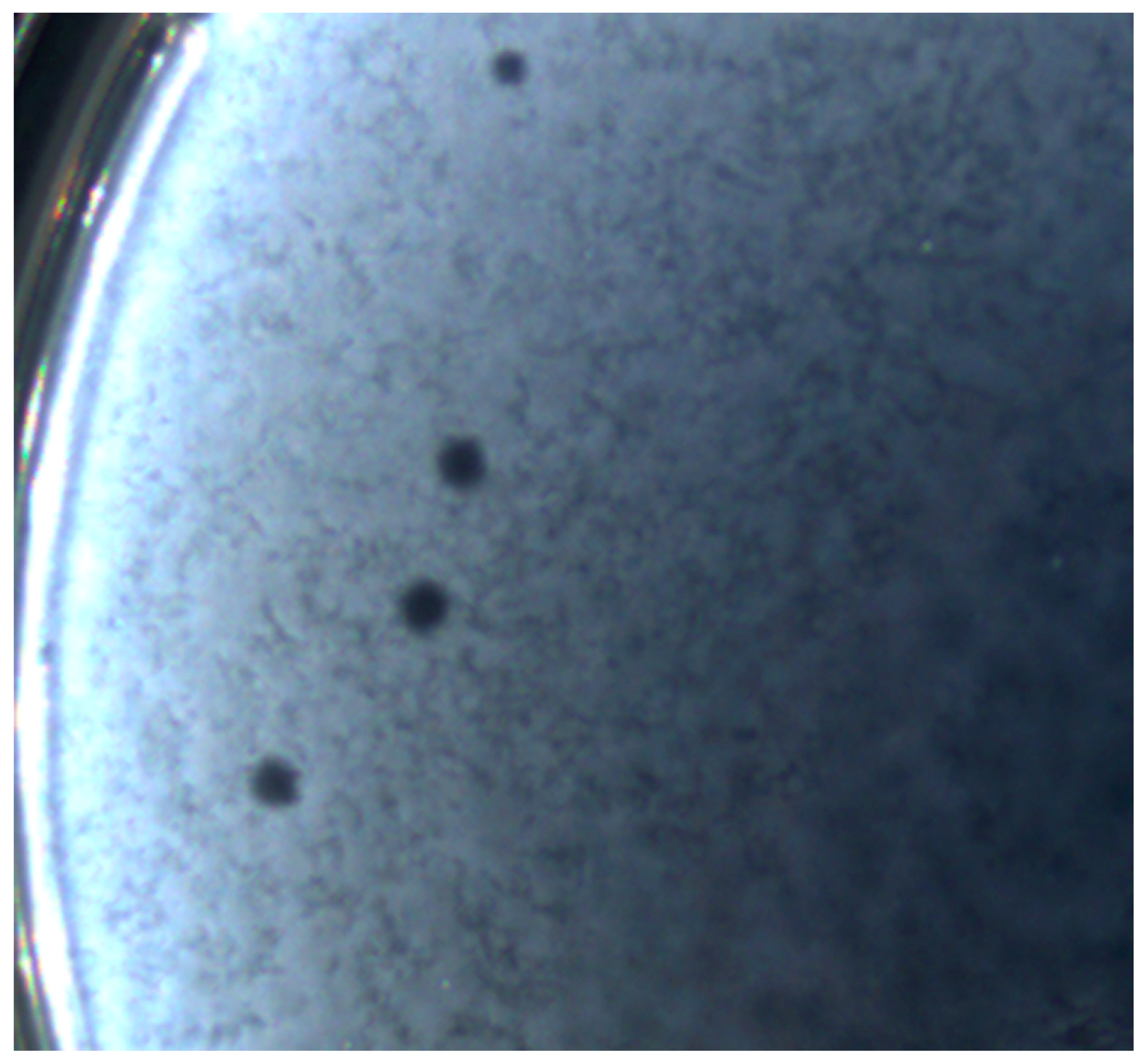 Microorganisms 11 01524 g002