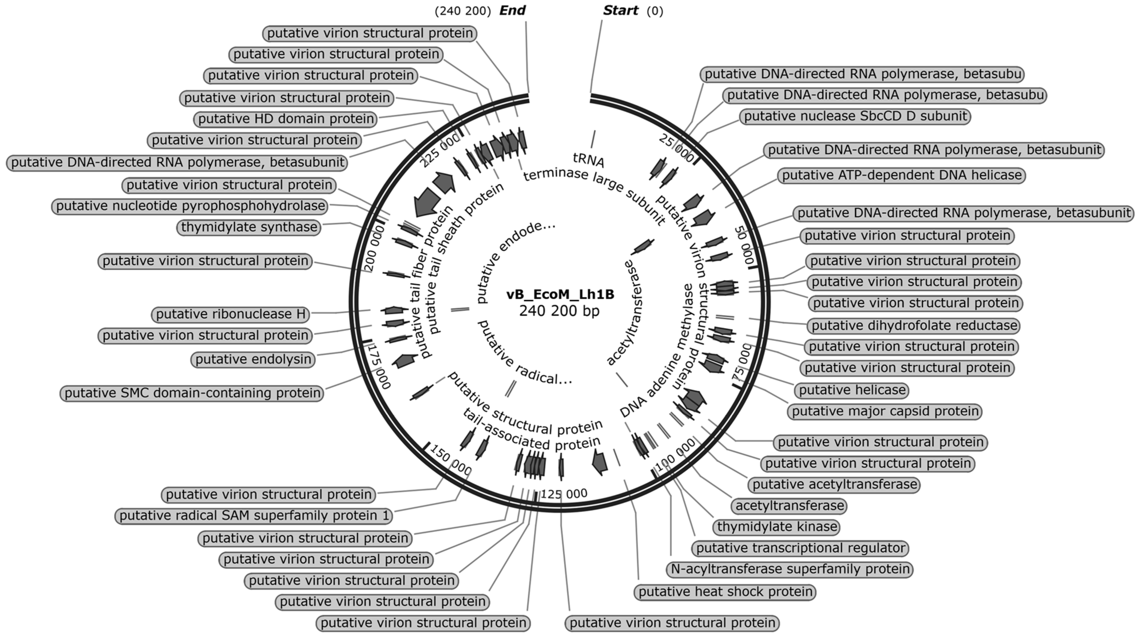 Microorganisms 11 01524 g008