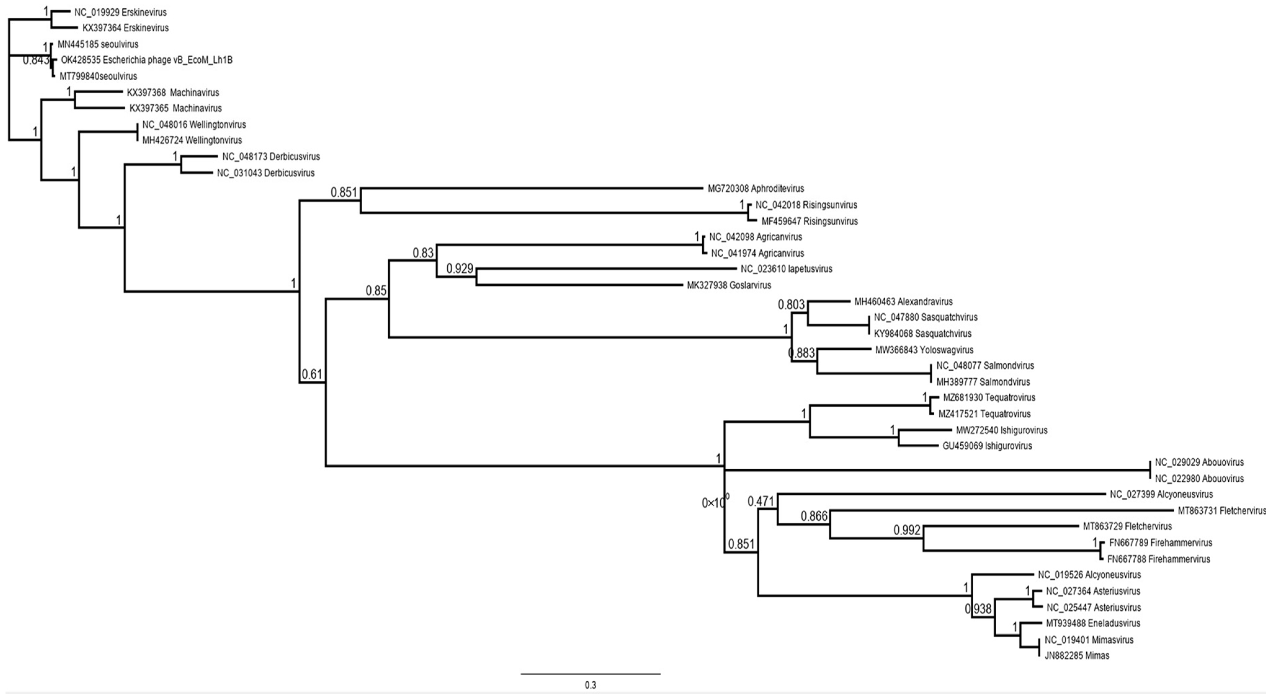 Microorganisms 11 01524 g009