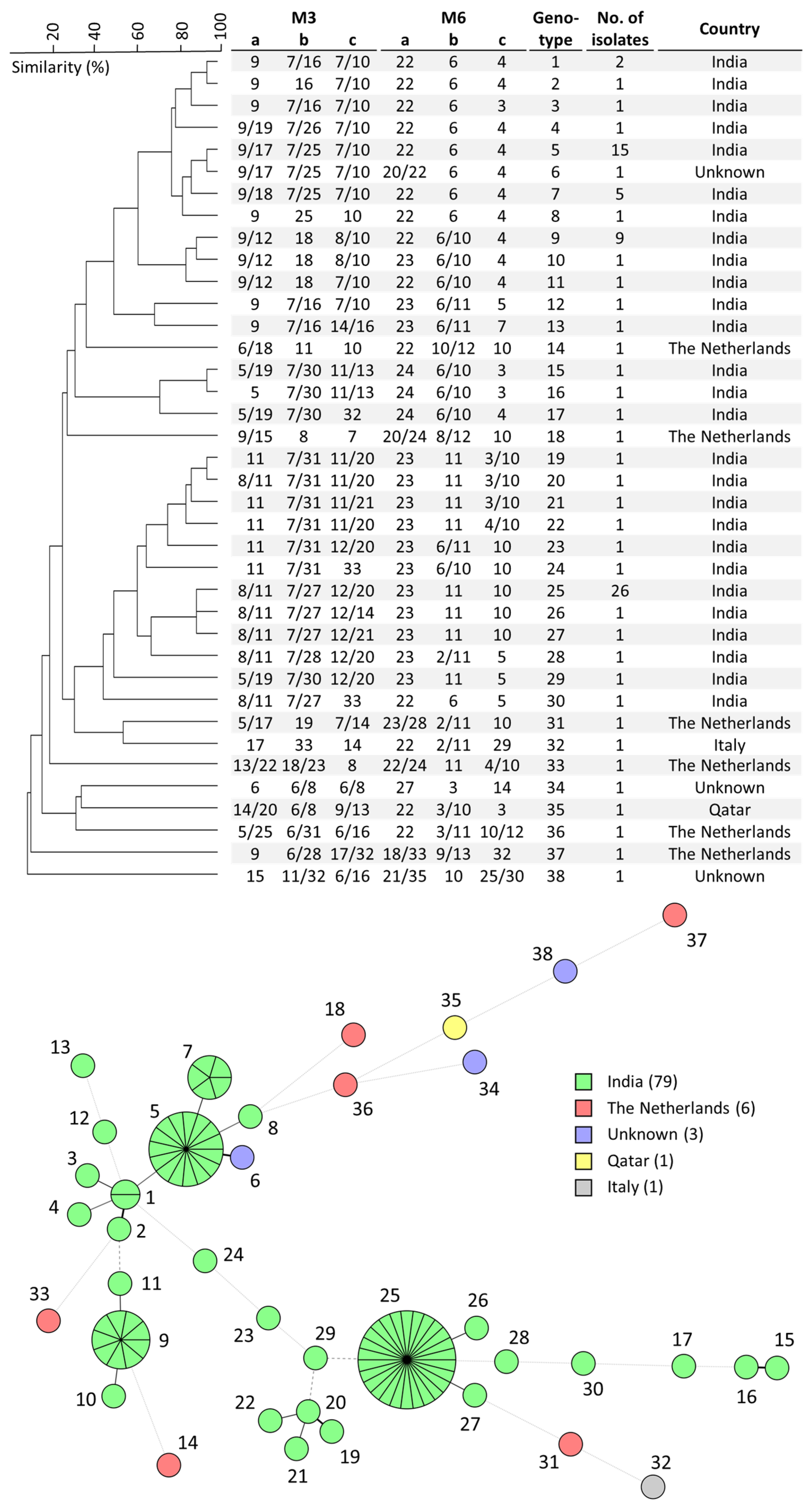 Microorganisms 11 01525 g001 Microorganisms 11 01525 g001
