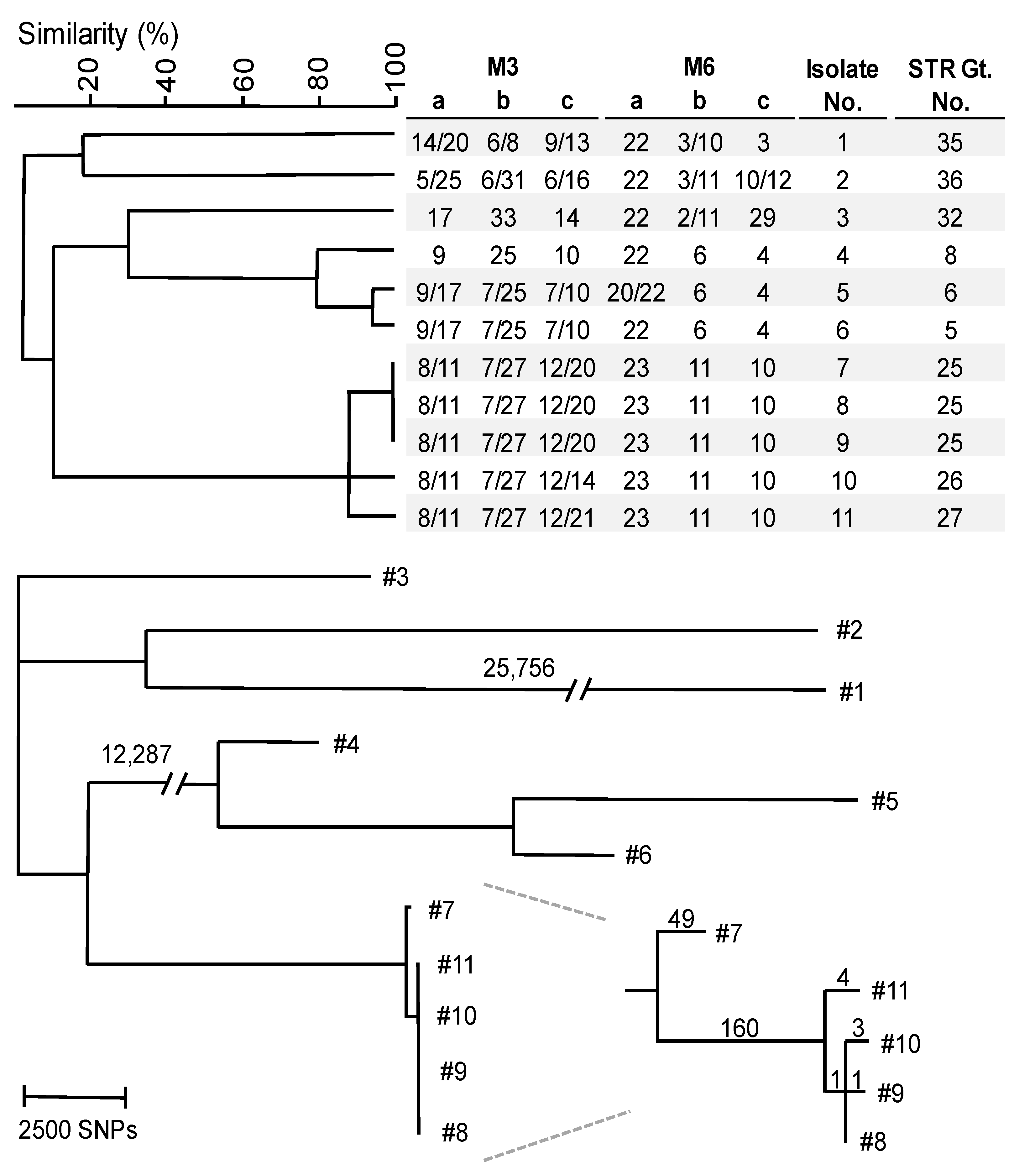 Microorganisms 11 01525 g002 Microorganisms 11 01525 g002