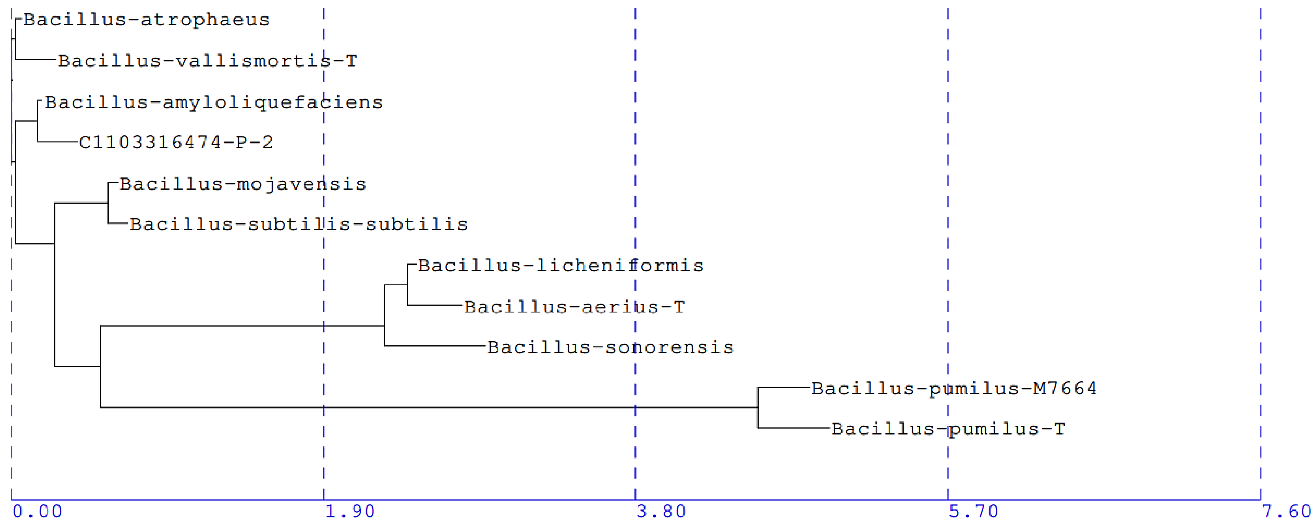 Microorganisms 11 01529 g005 Microorganisms 11 01529 g005