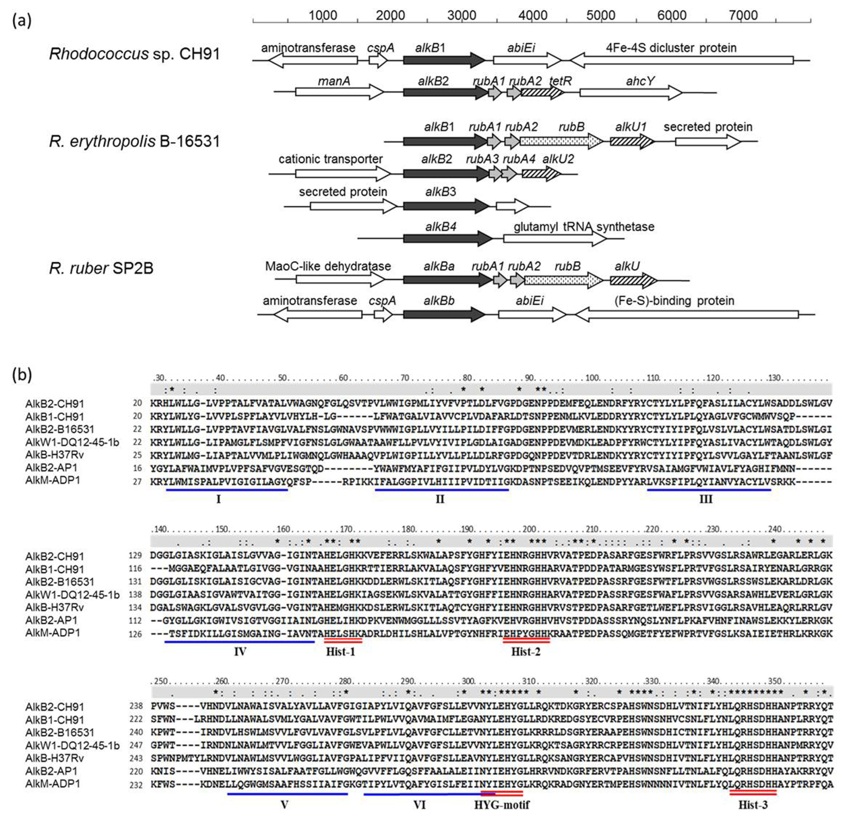 Microorganisms 11 01537 g001 Microorganisms 11 01537 g001