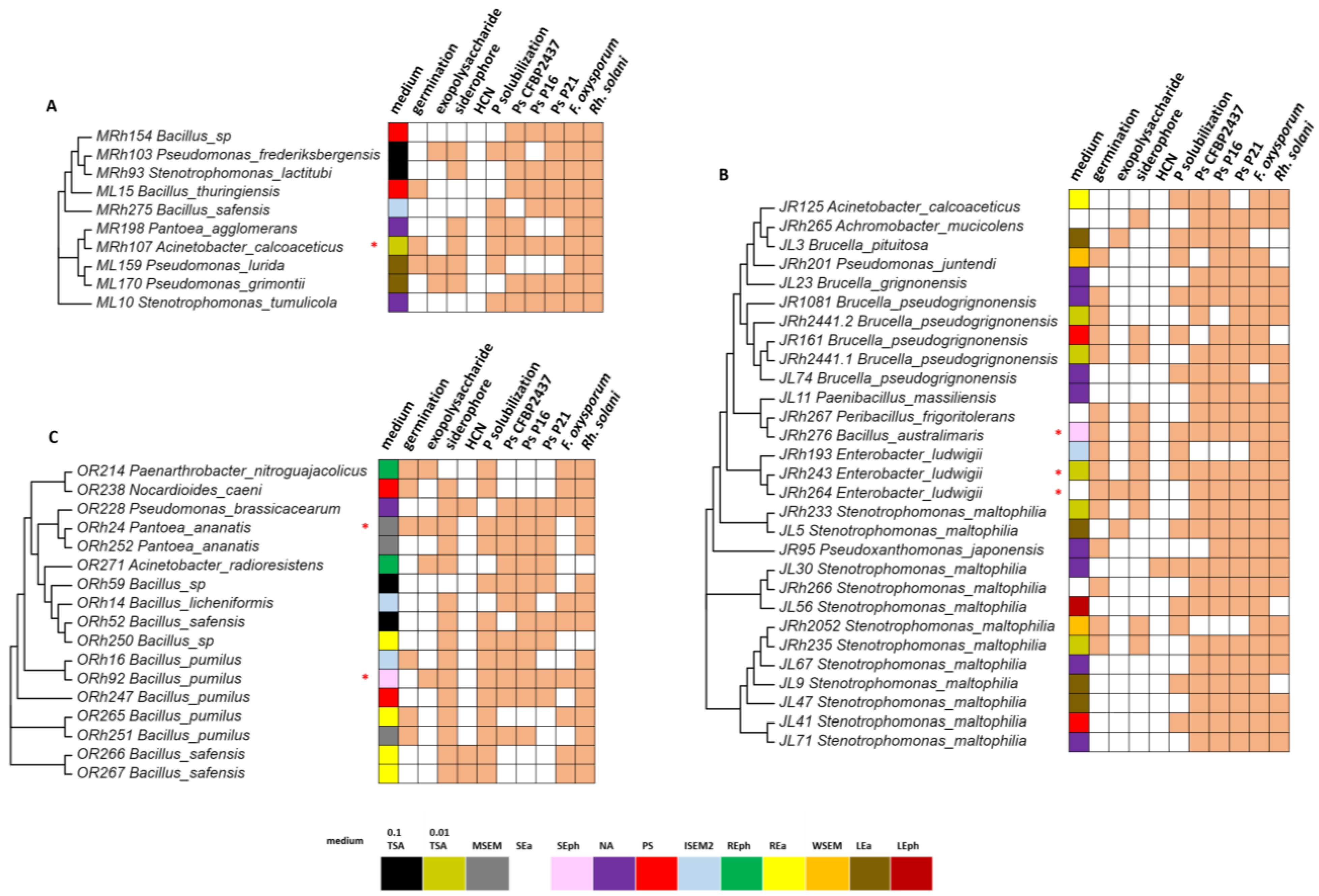 Microorganisms 11 01538 g003 Microorganisms 11 01538 g003