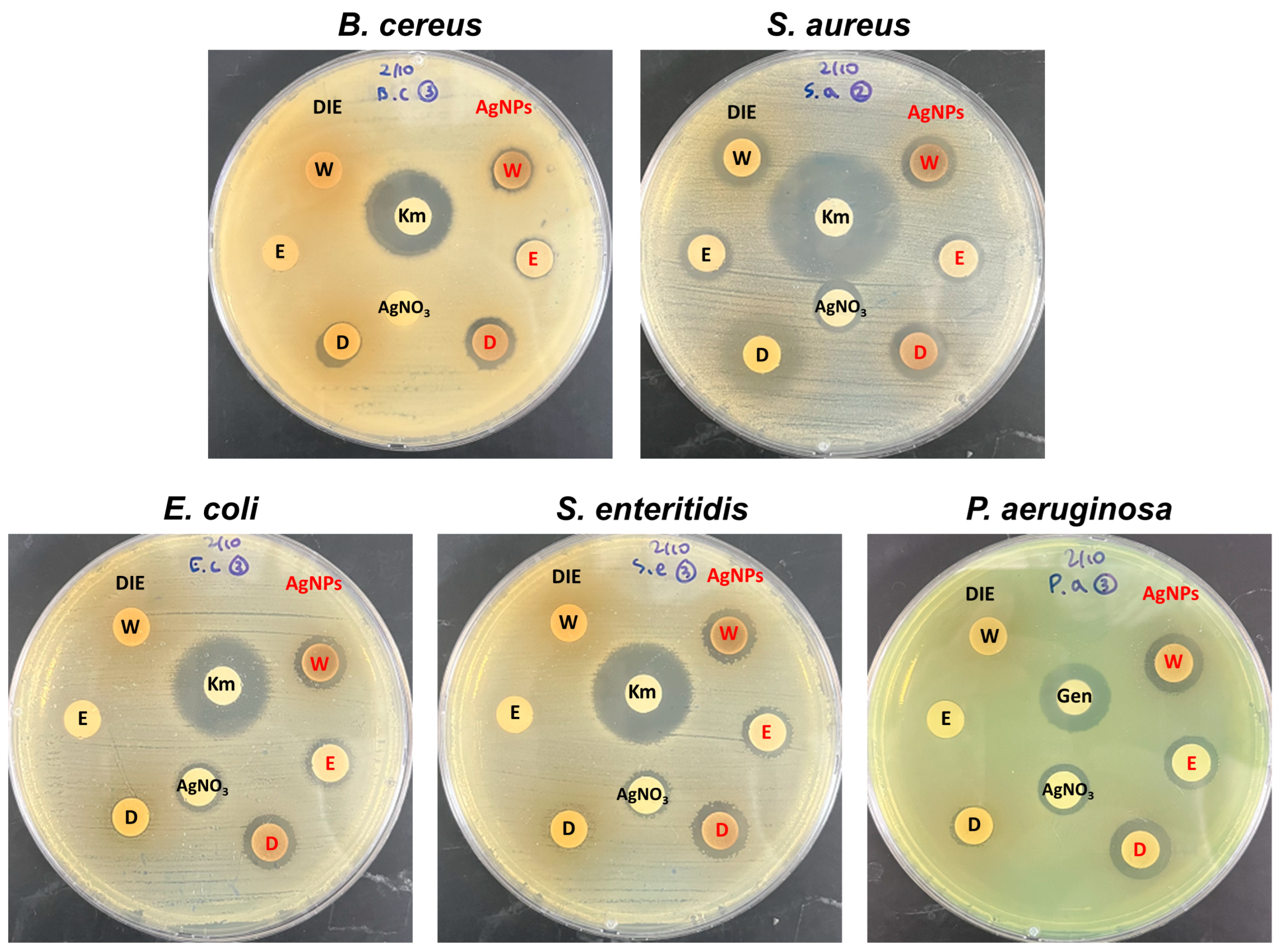 Microorganisms 11 01539 g005 Microorganisms 11 01539 g005