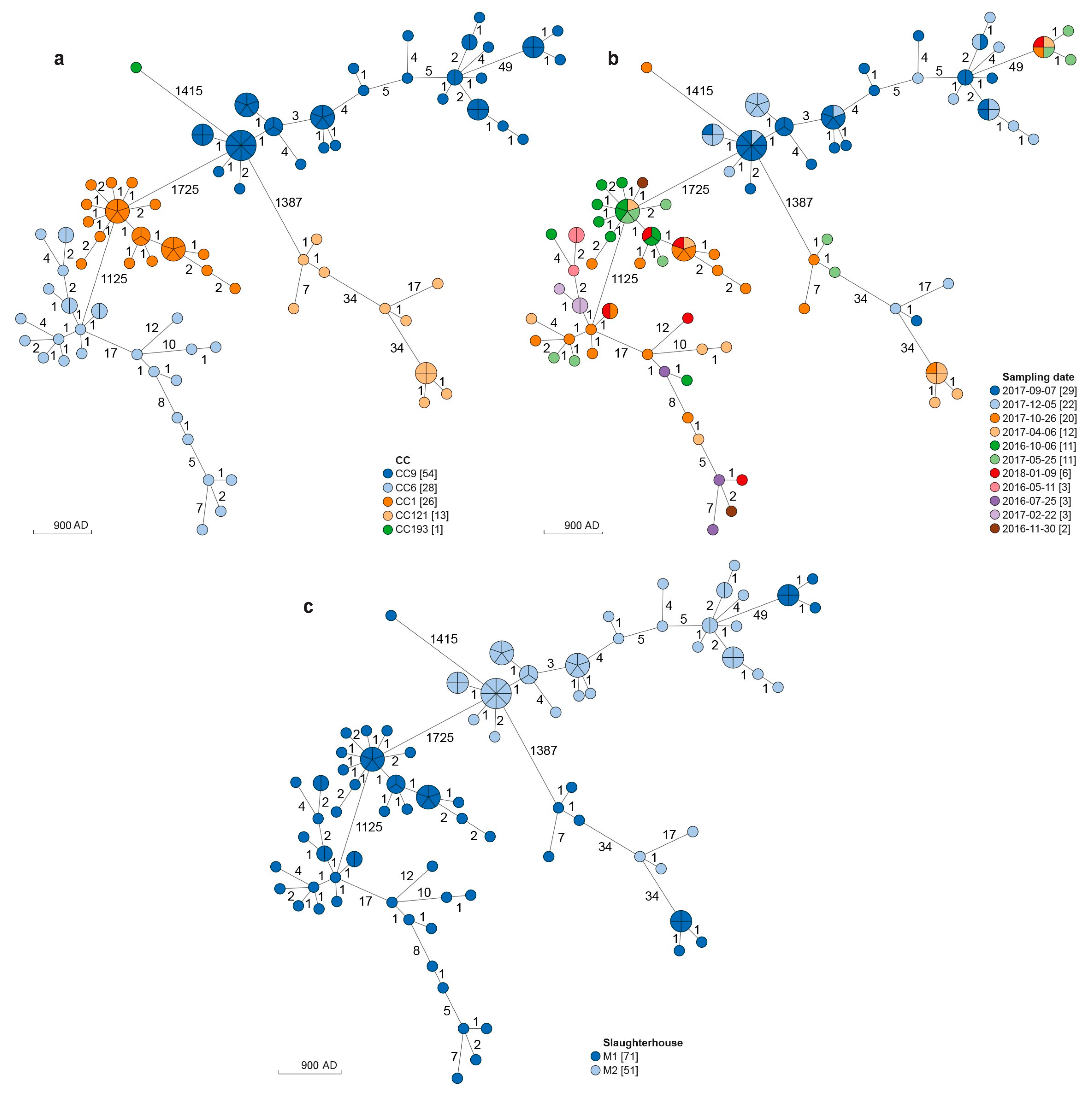 Microorganisms 11 01543 g001 Microorganisms 11 01543 g001