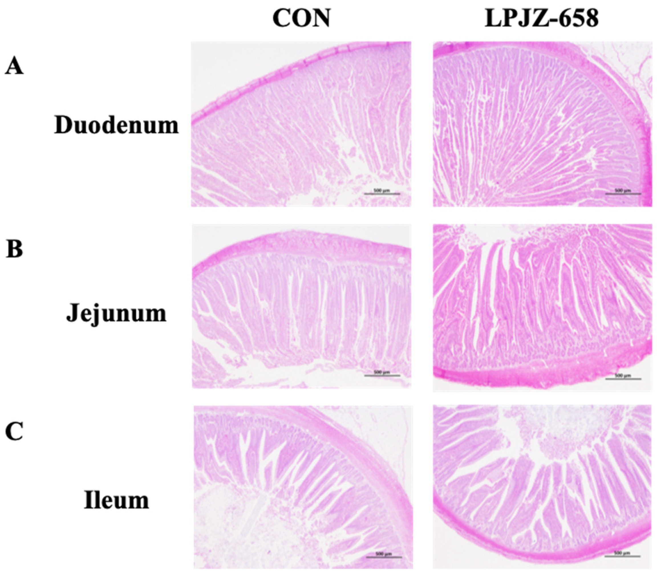 Microorganisms 11 01549 g001
