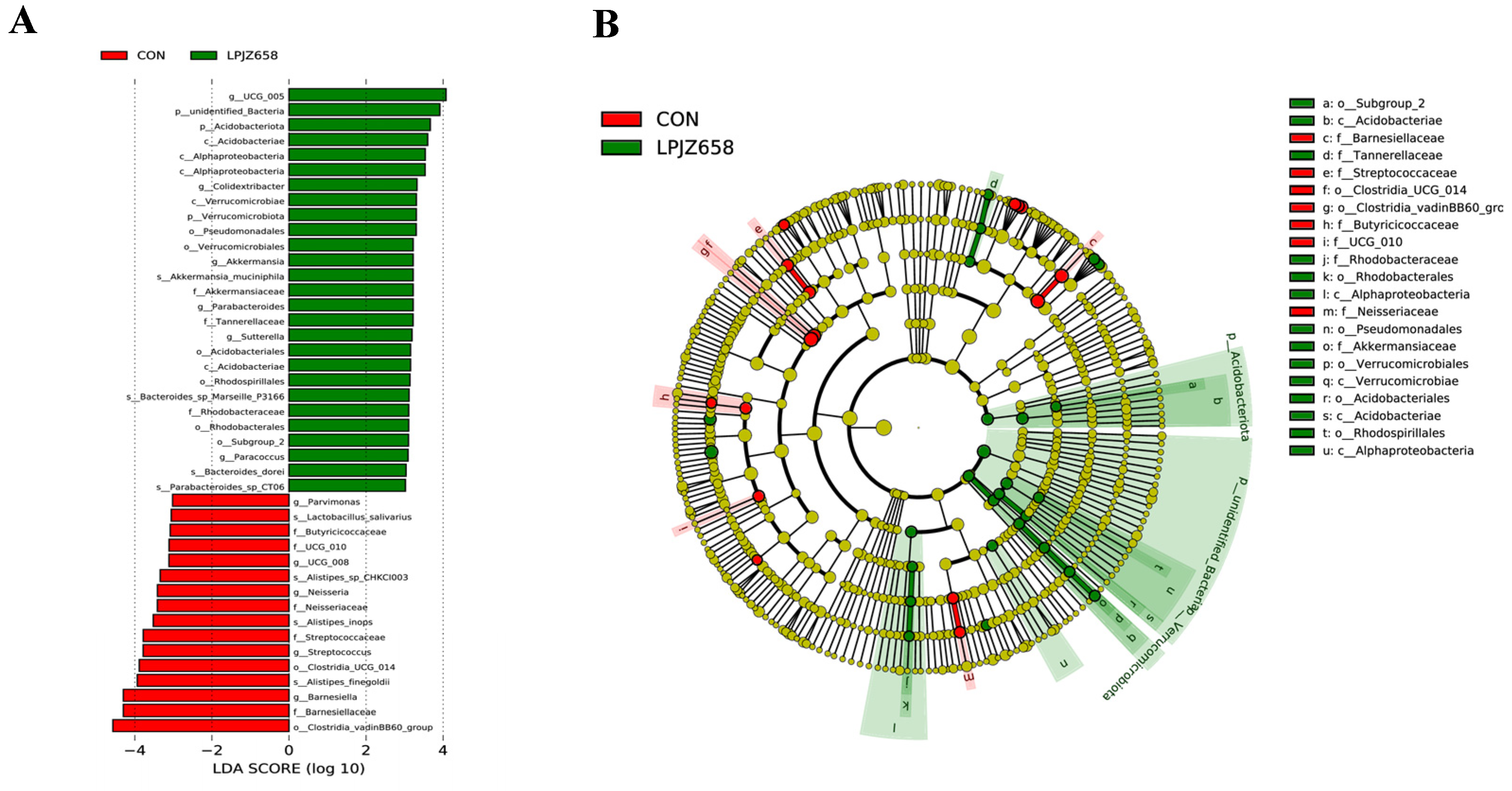 Microorganisms 11 01549 g004